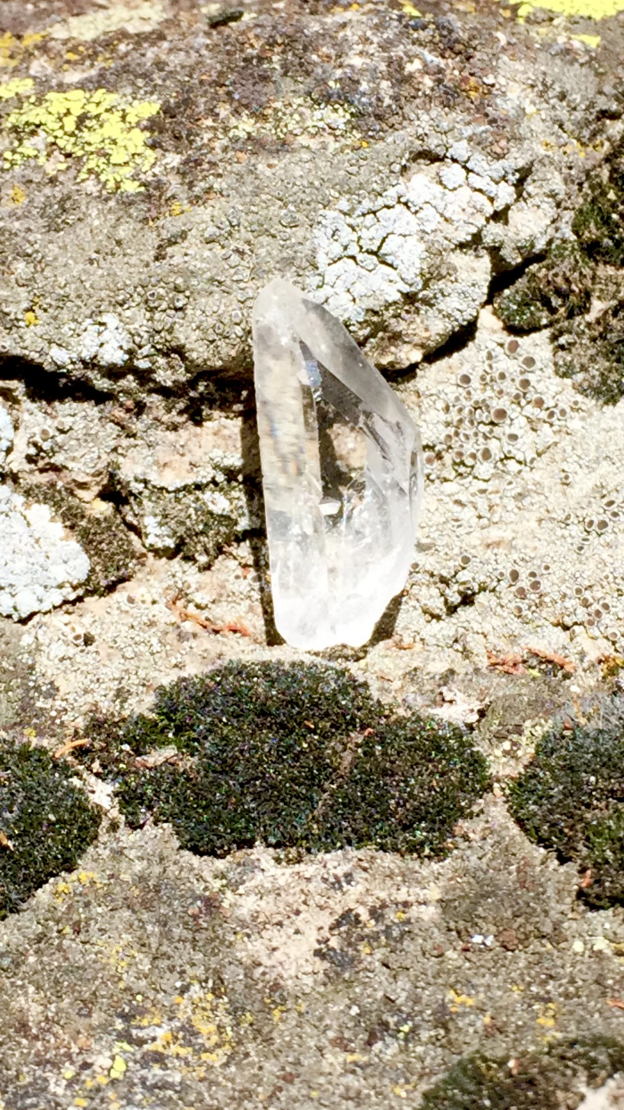 CLEAR QUARTZ CUT / VENUS PORTAL 