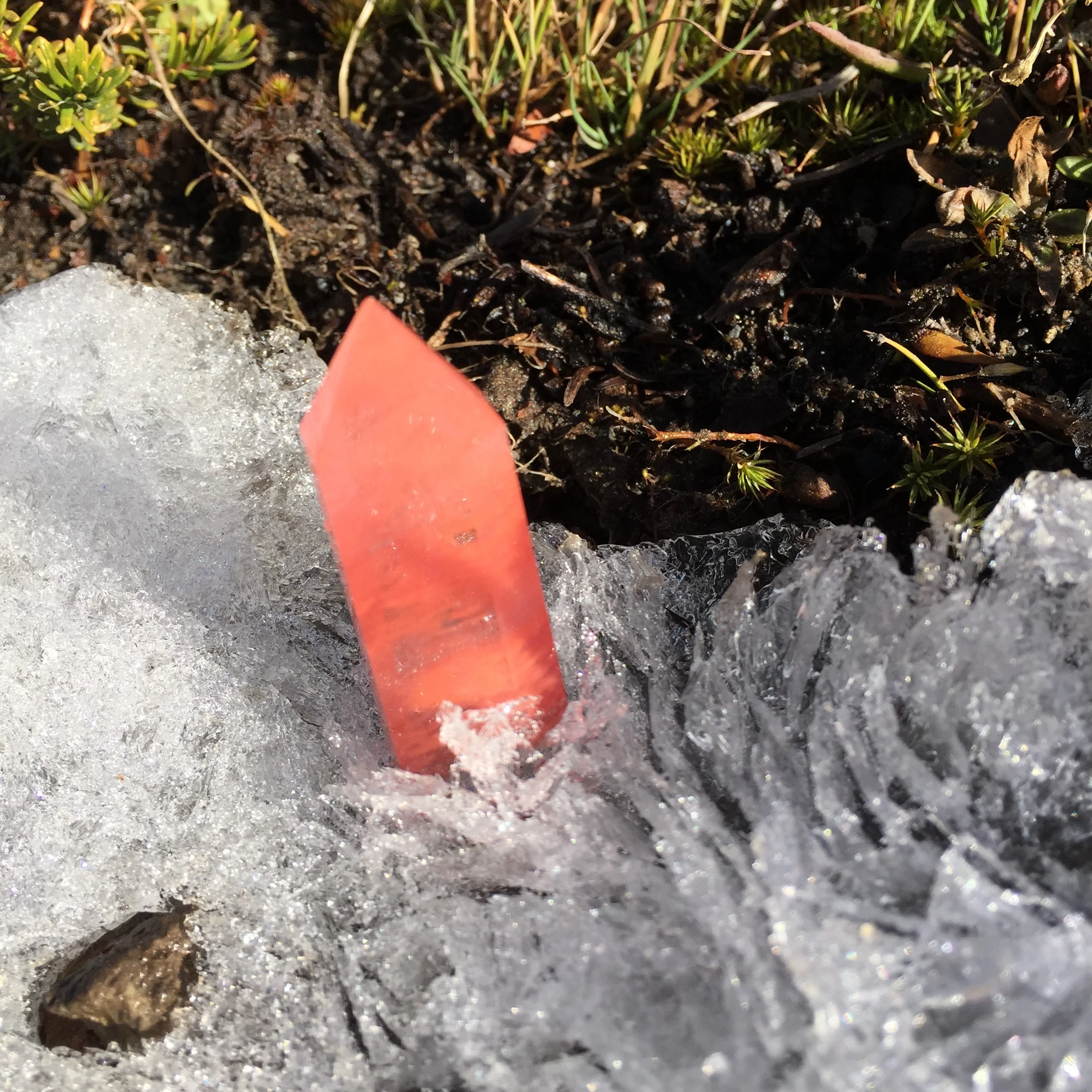 STRAWBERRY QUARTZ CRYSTAL / PANTHER MEADOWS 
