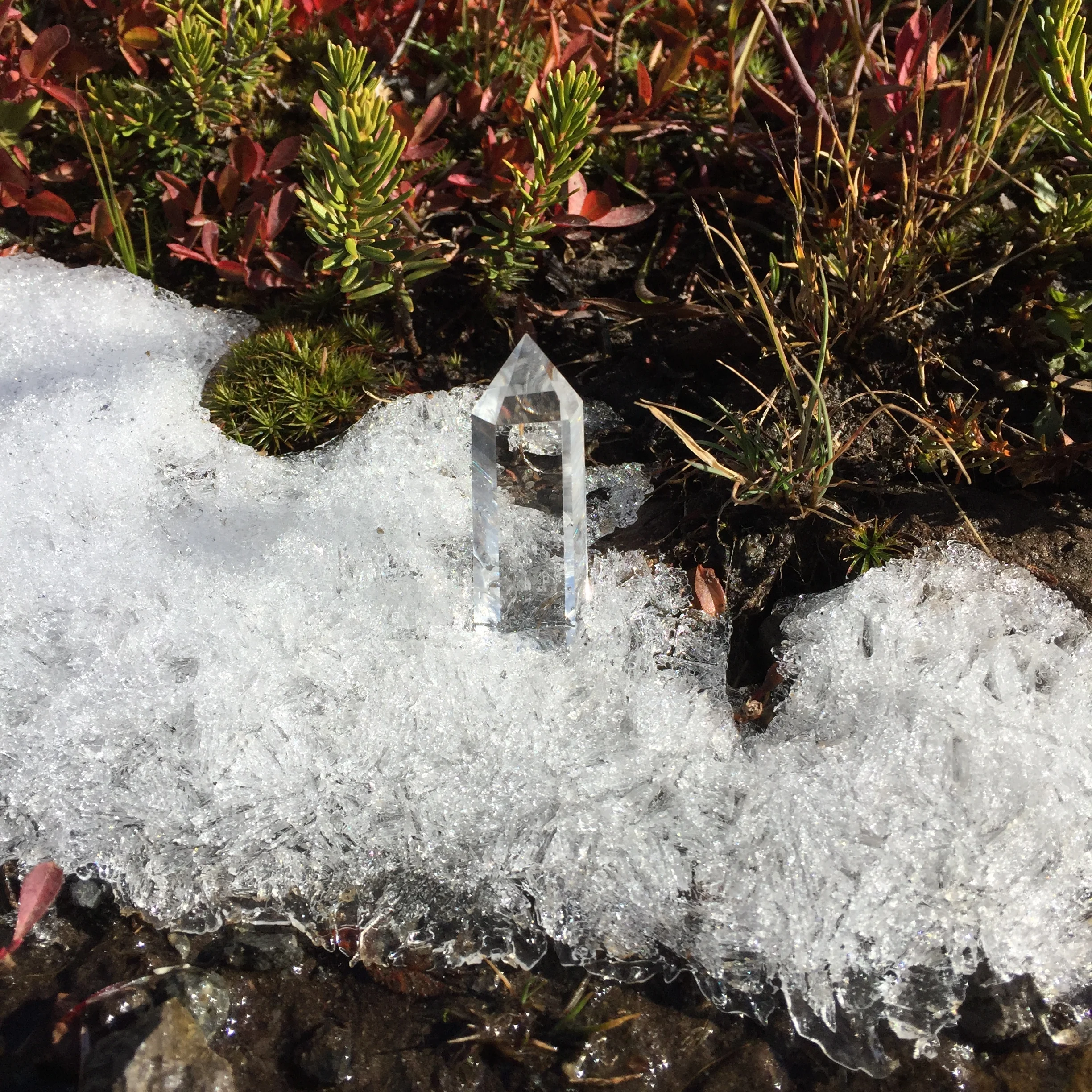 CLEAR QUARTZ CRYSTAL / PANTHER MEADOWS 