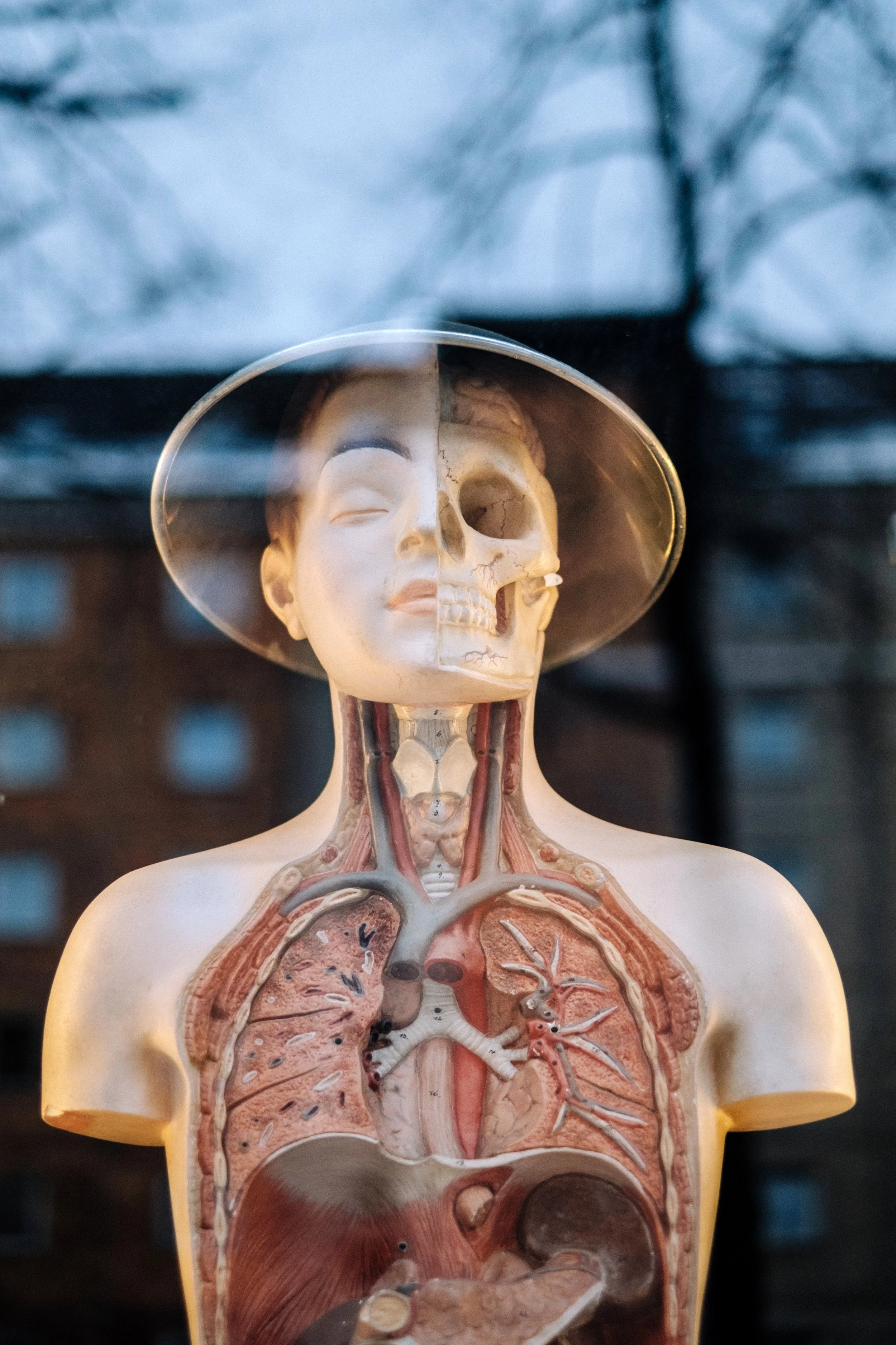 What is Vocal Health?