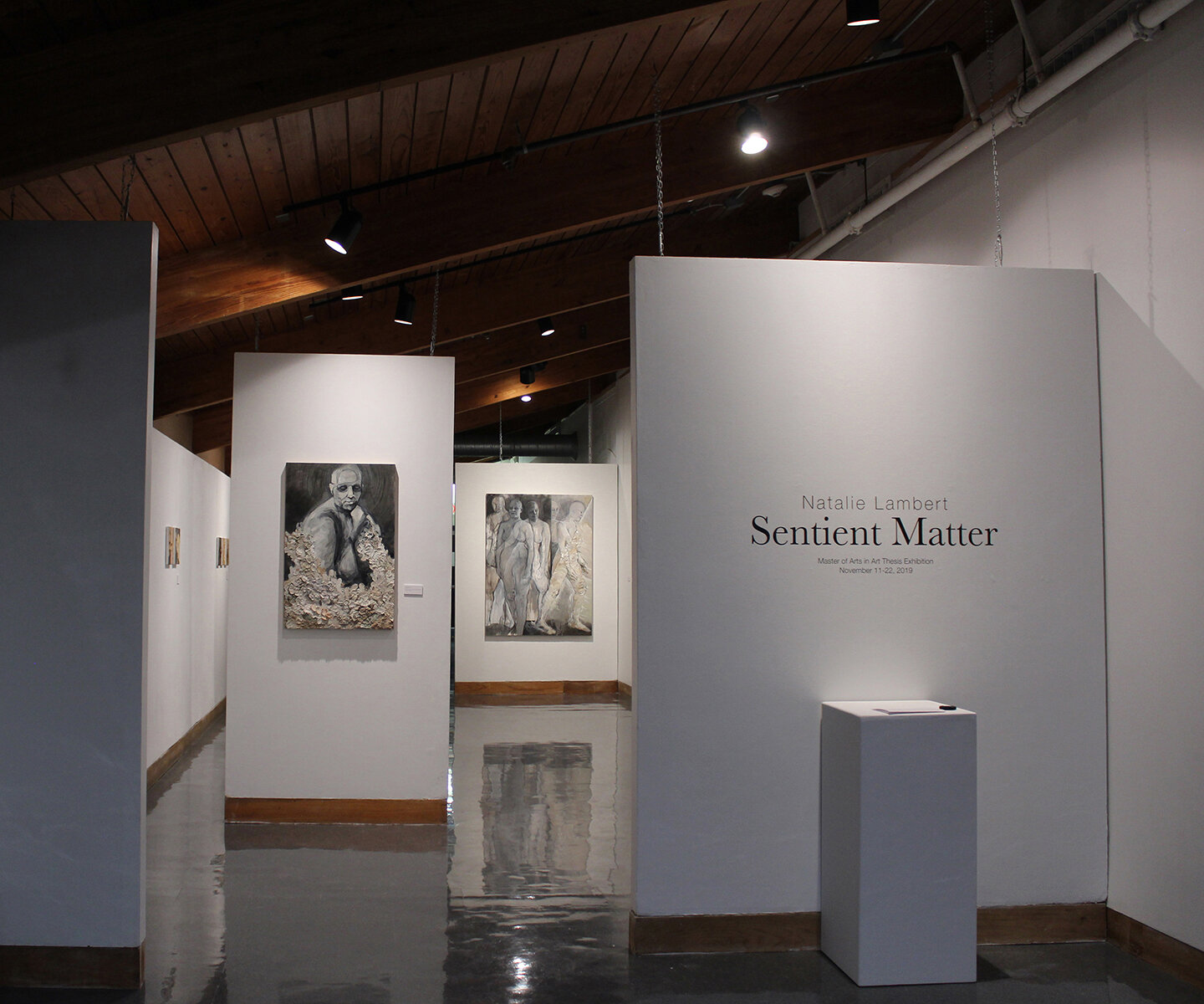   Sentient Matter , MA Thesis Exhibition, Fall 2019, Upper Gallery, University of Dallas 