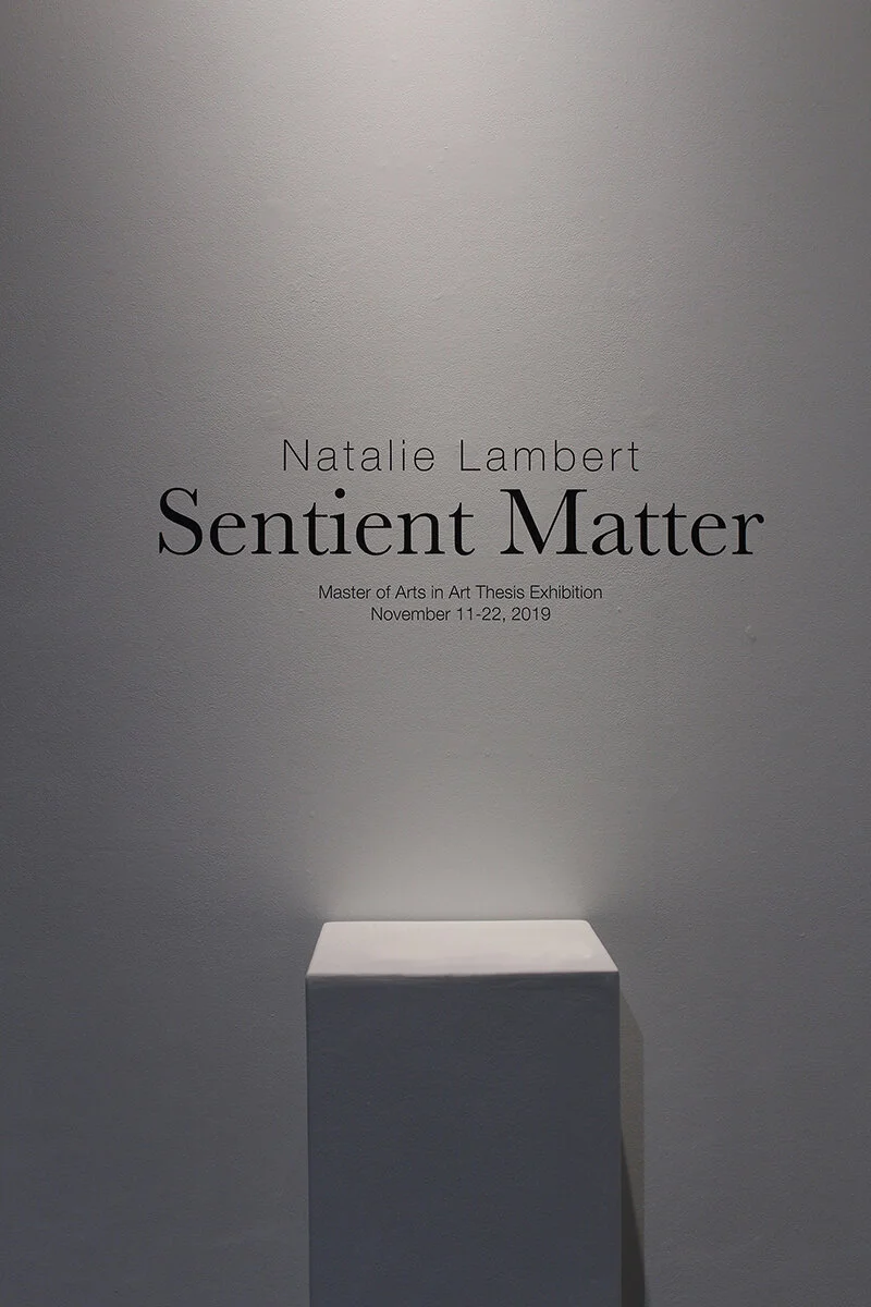 Lambert_Natalie_MA_Thesis_Exhibition_Title_Wall_sm.jpg