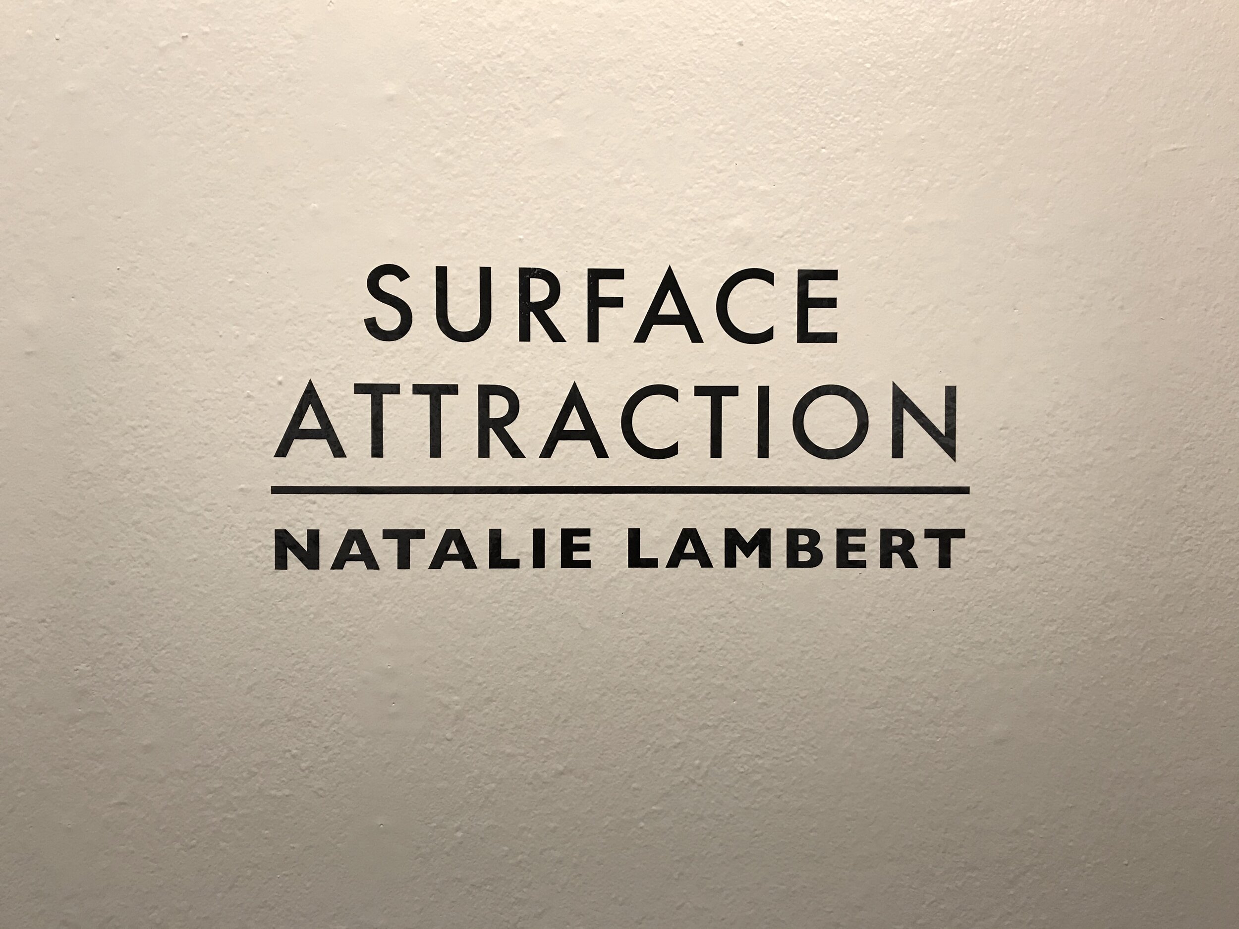   Surface Attraction , February 24-April 9, 2020, Cedar Valley Art Gallery, Cedar Valley College, Lancaster, Texas 
