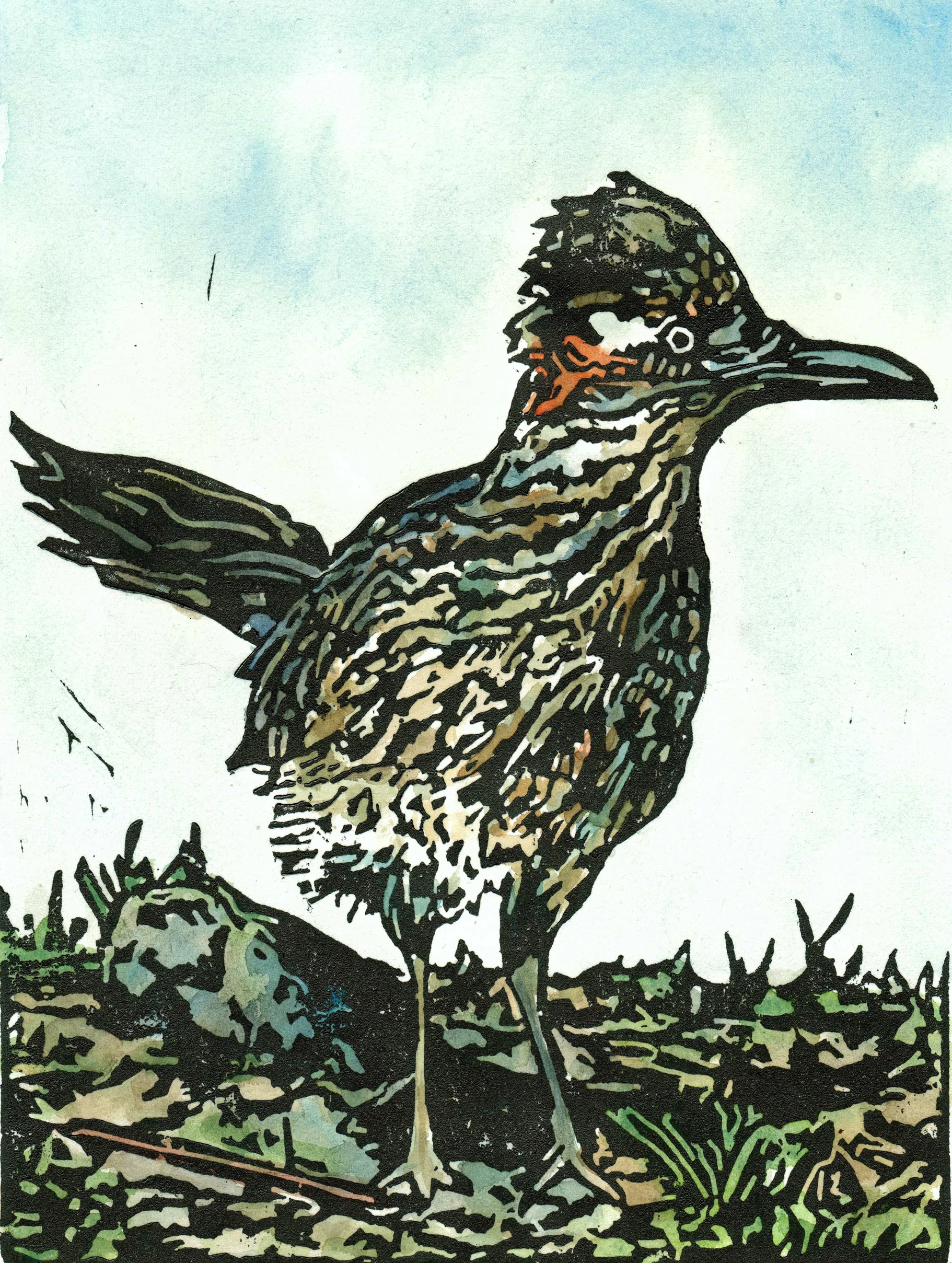 roadrunnercolor2_web.jpg