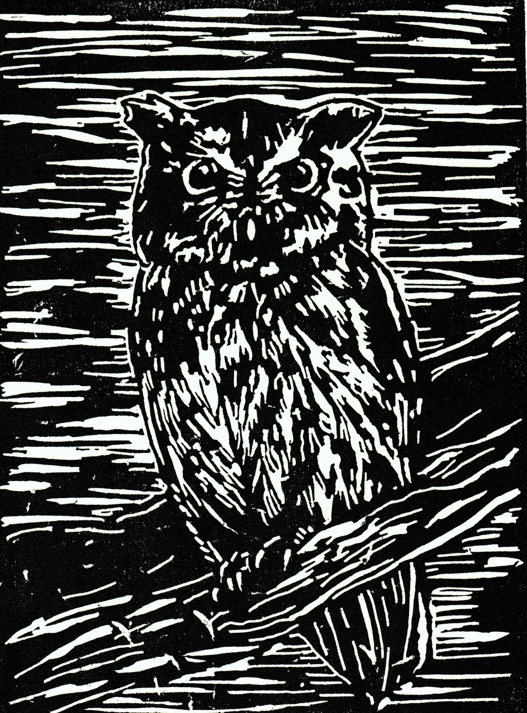 Owl-bw_web.jpg