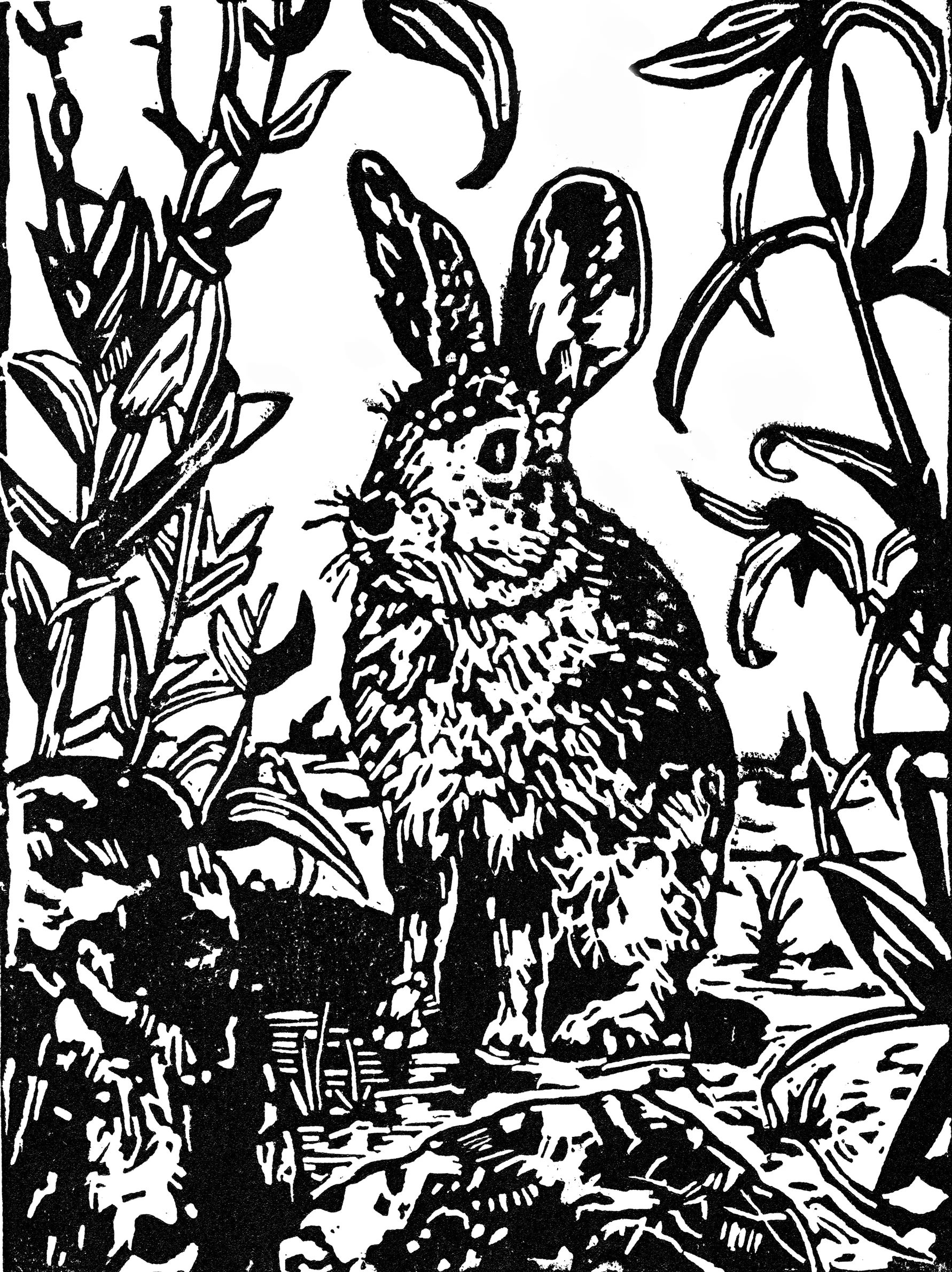 Cottontail-rabbit-print-bw.-web.jpg