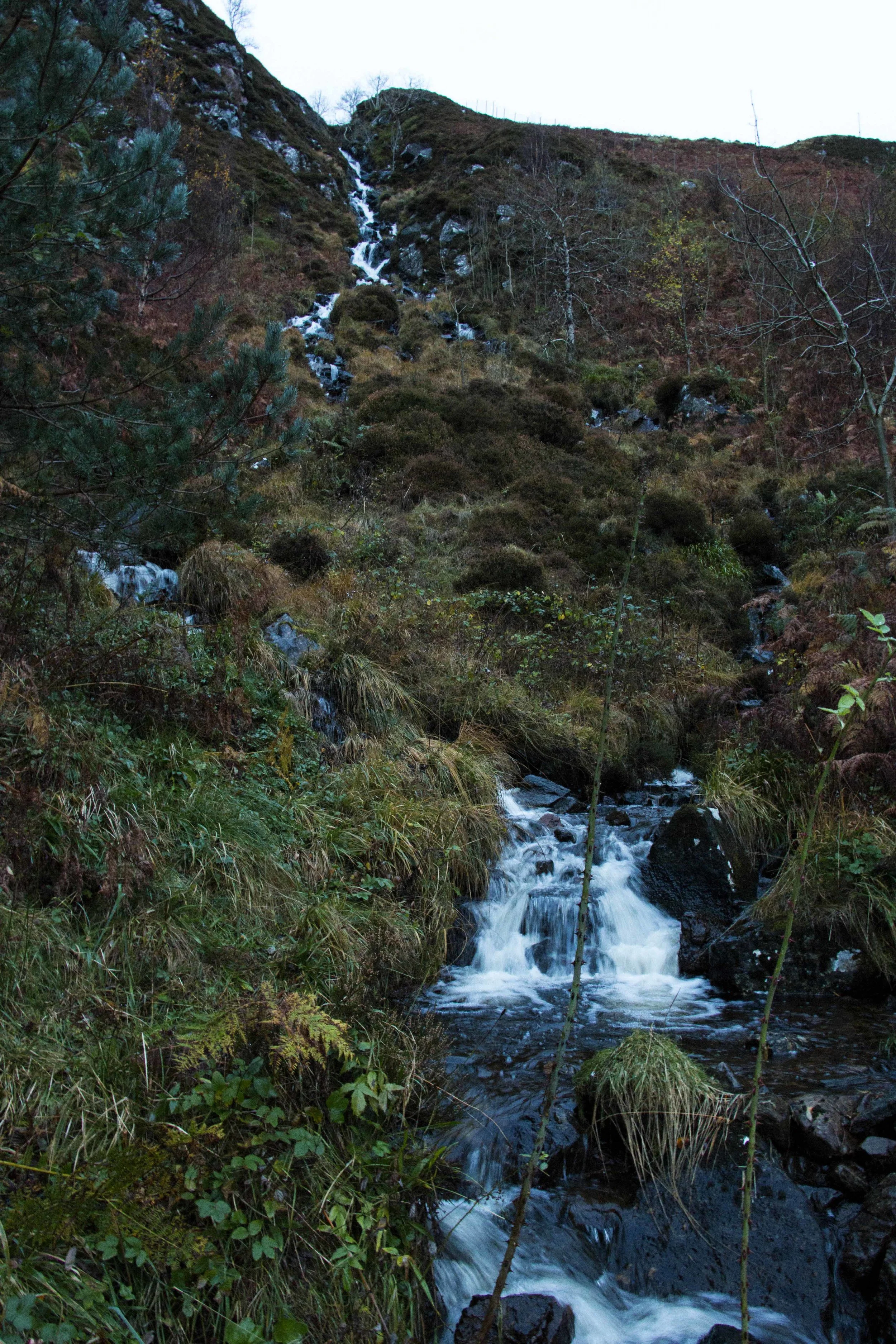 Scotland_higlands4.jpg