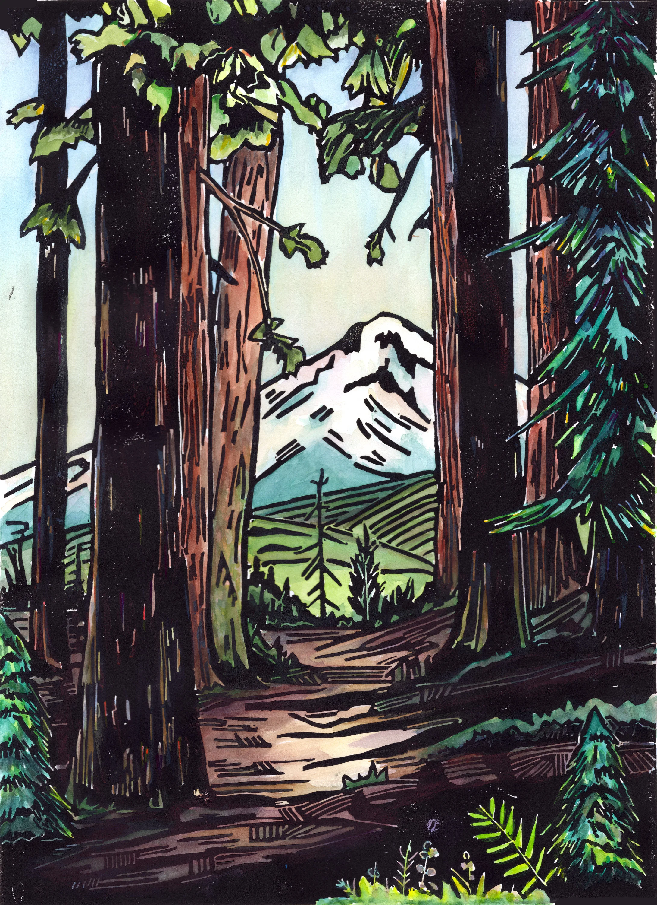 walling-through-the-trees.jpg
