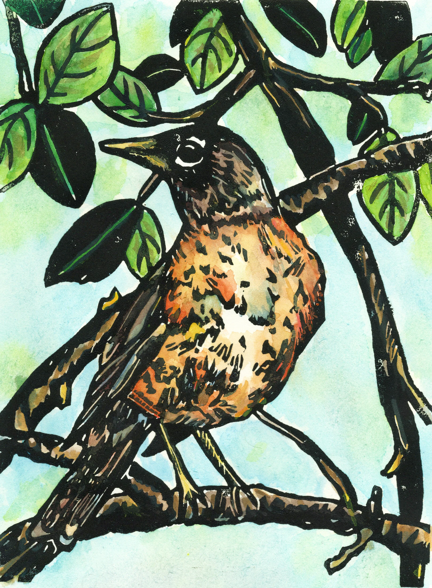 Robin_spring_web.jpg