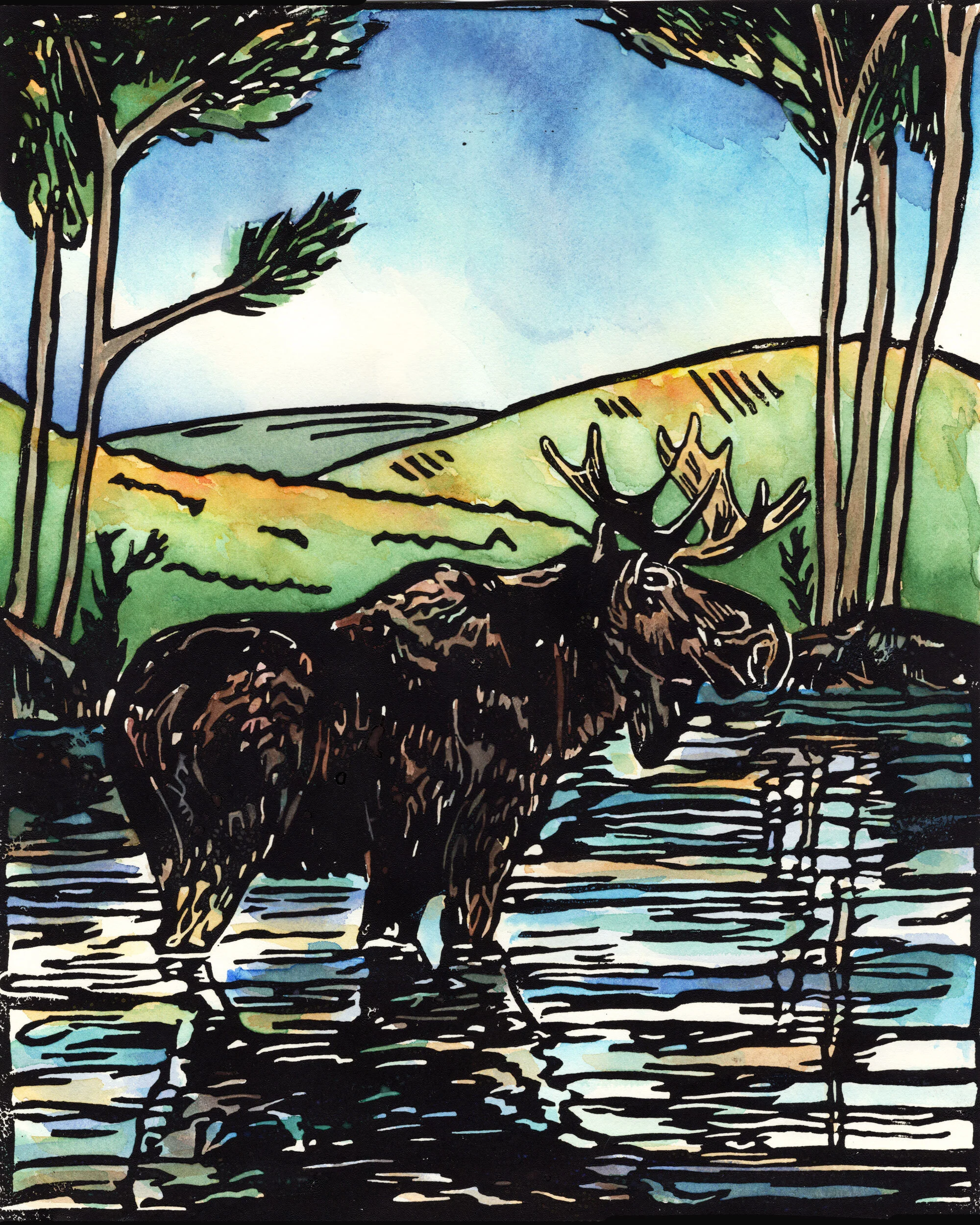 moose-color_web.jpg