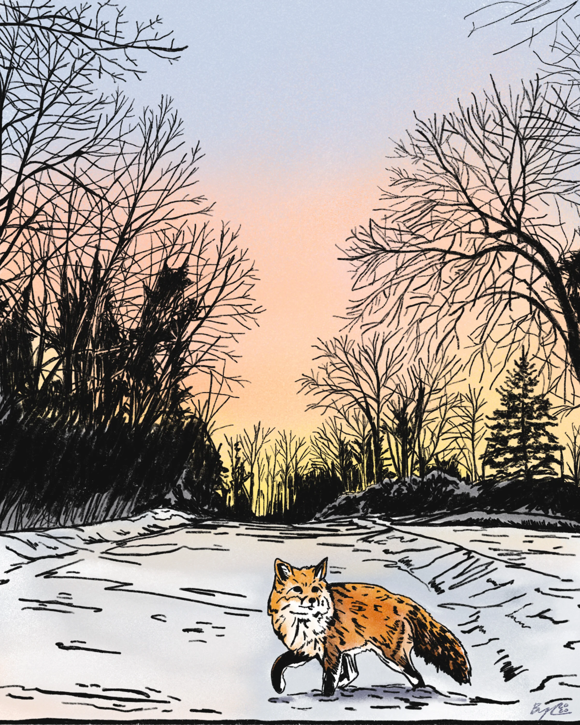 winter fox_color_web.jpg