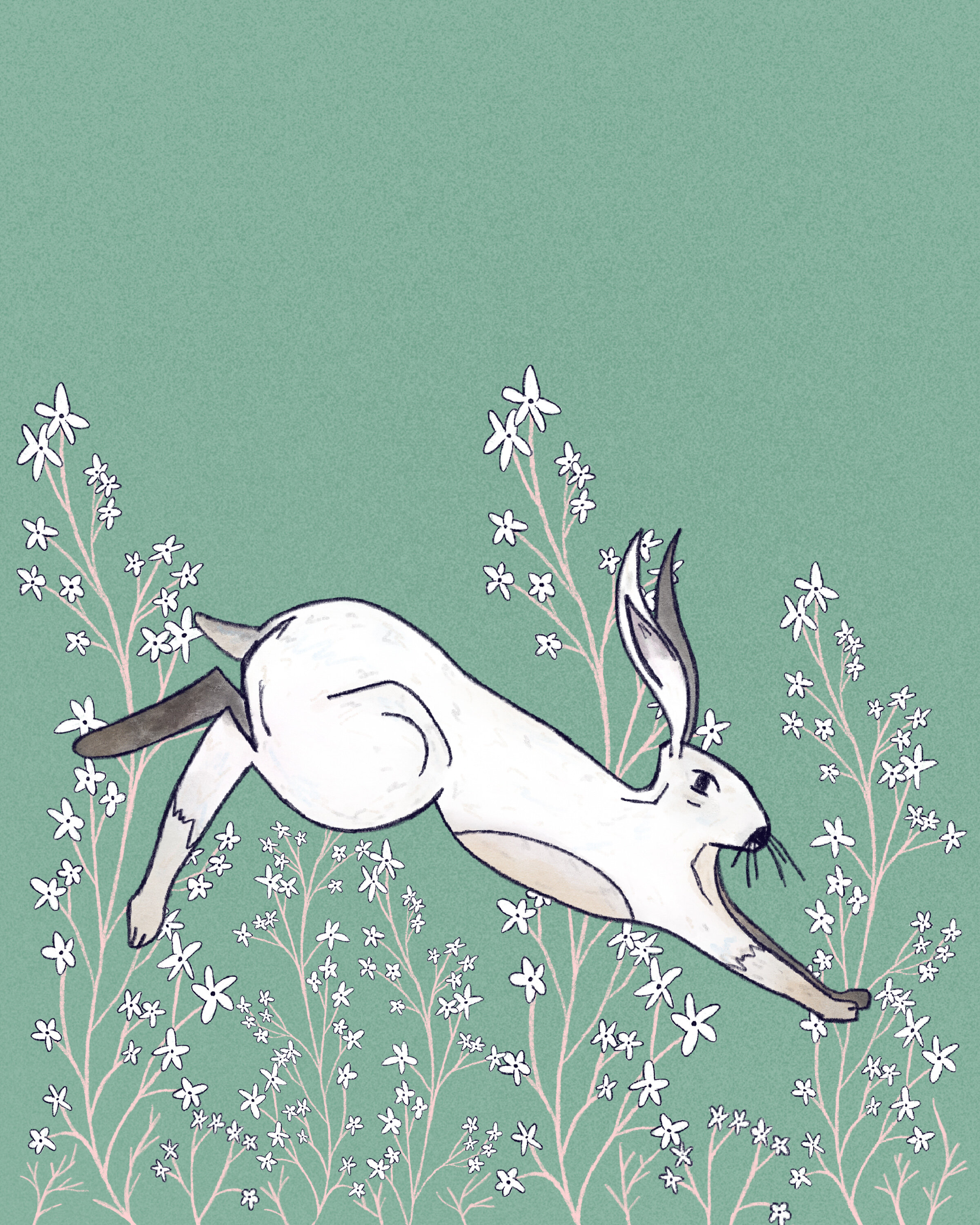 Rabbit in flowers 8x10.jpg
