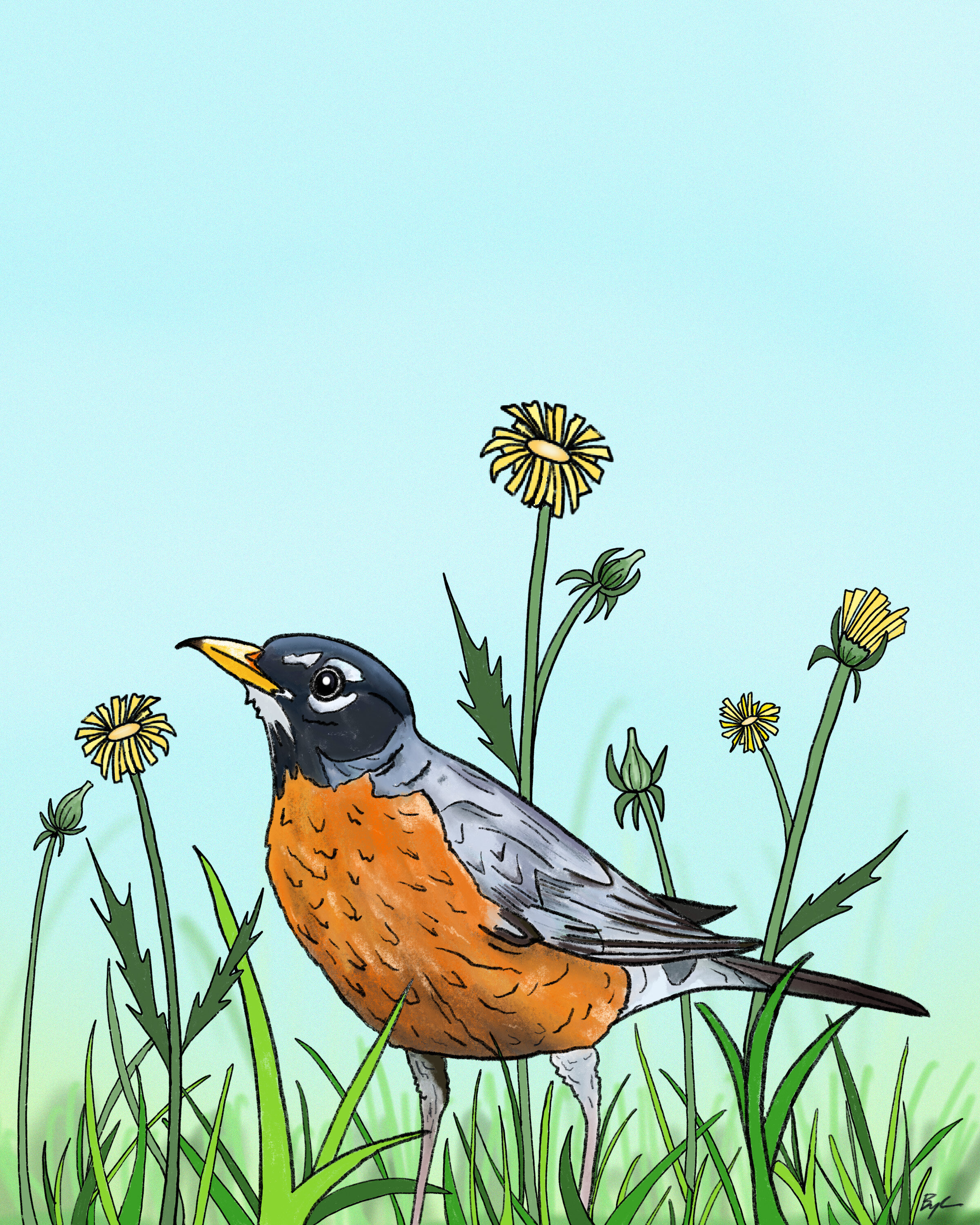 robin in grass.jpg