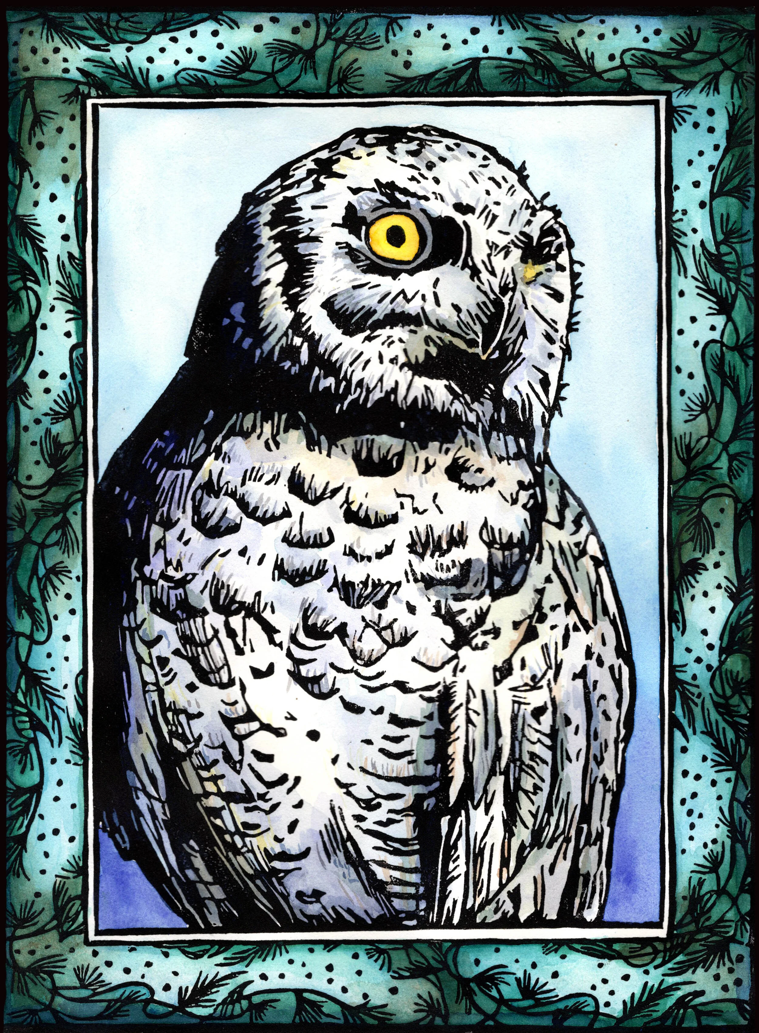 snowyowl_color_web.jpg