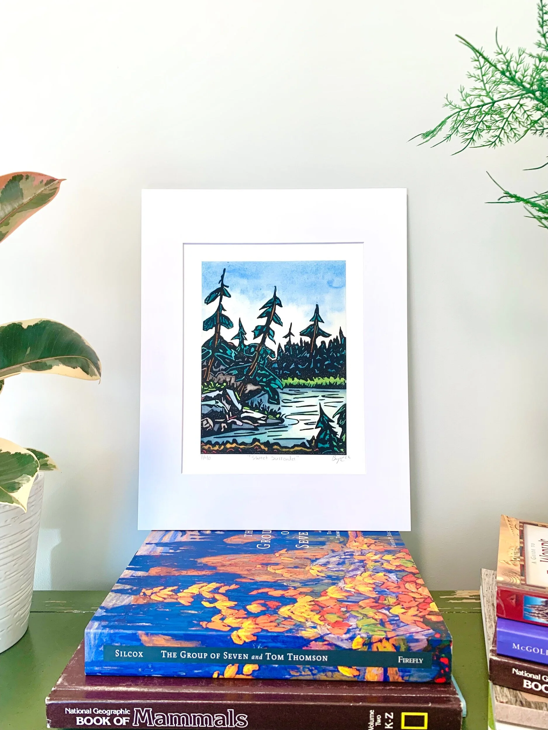 162CAD8E-76CB-4171-9C8F-D2791CA91A9B