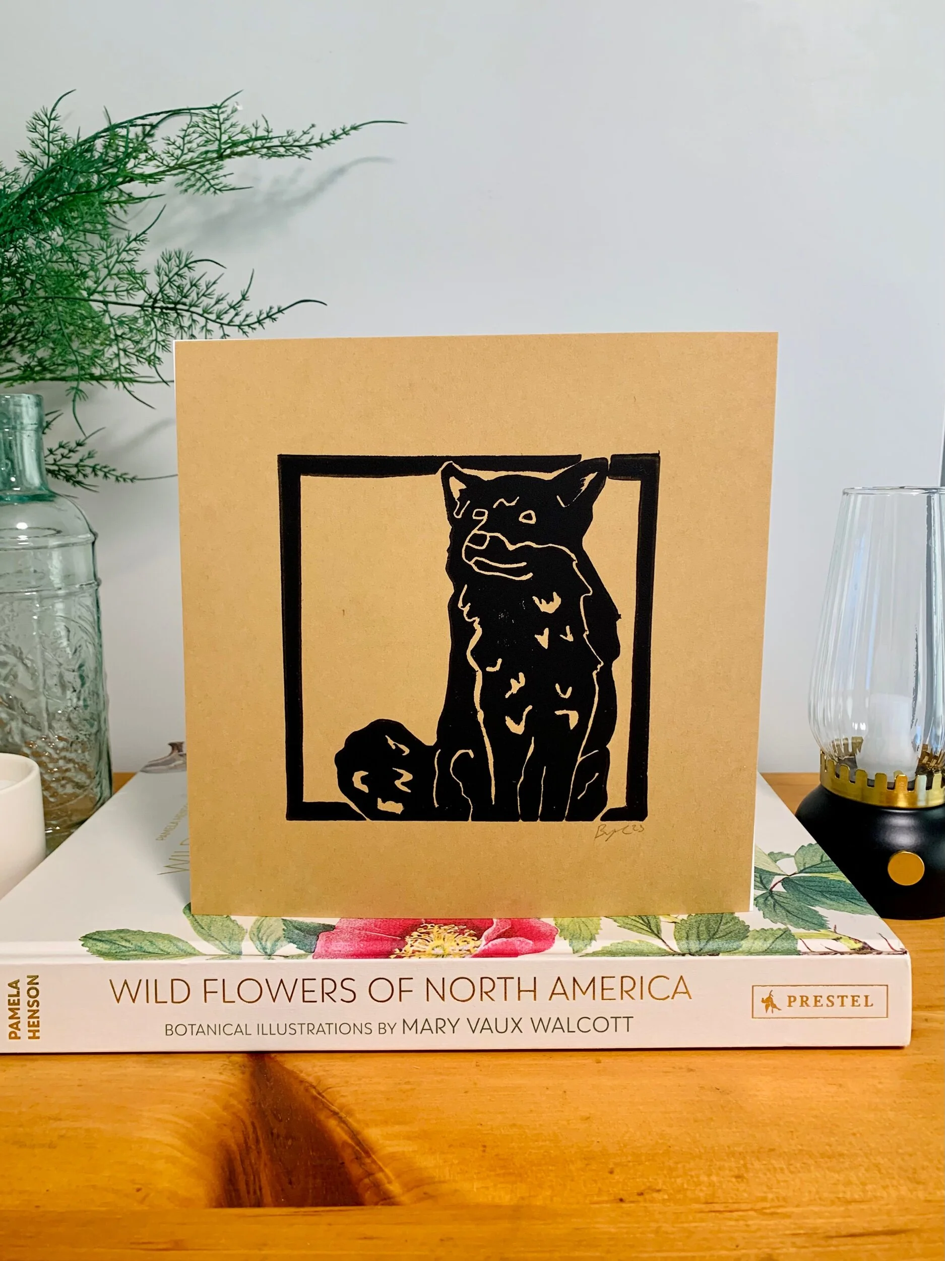 38EE0D2B-BF18-4740-9DE4-6DD28591A940