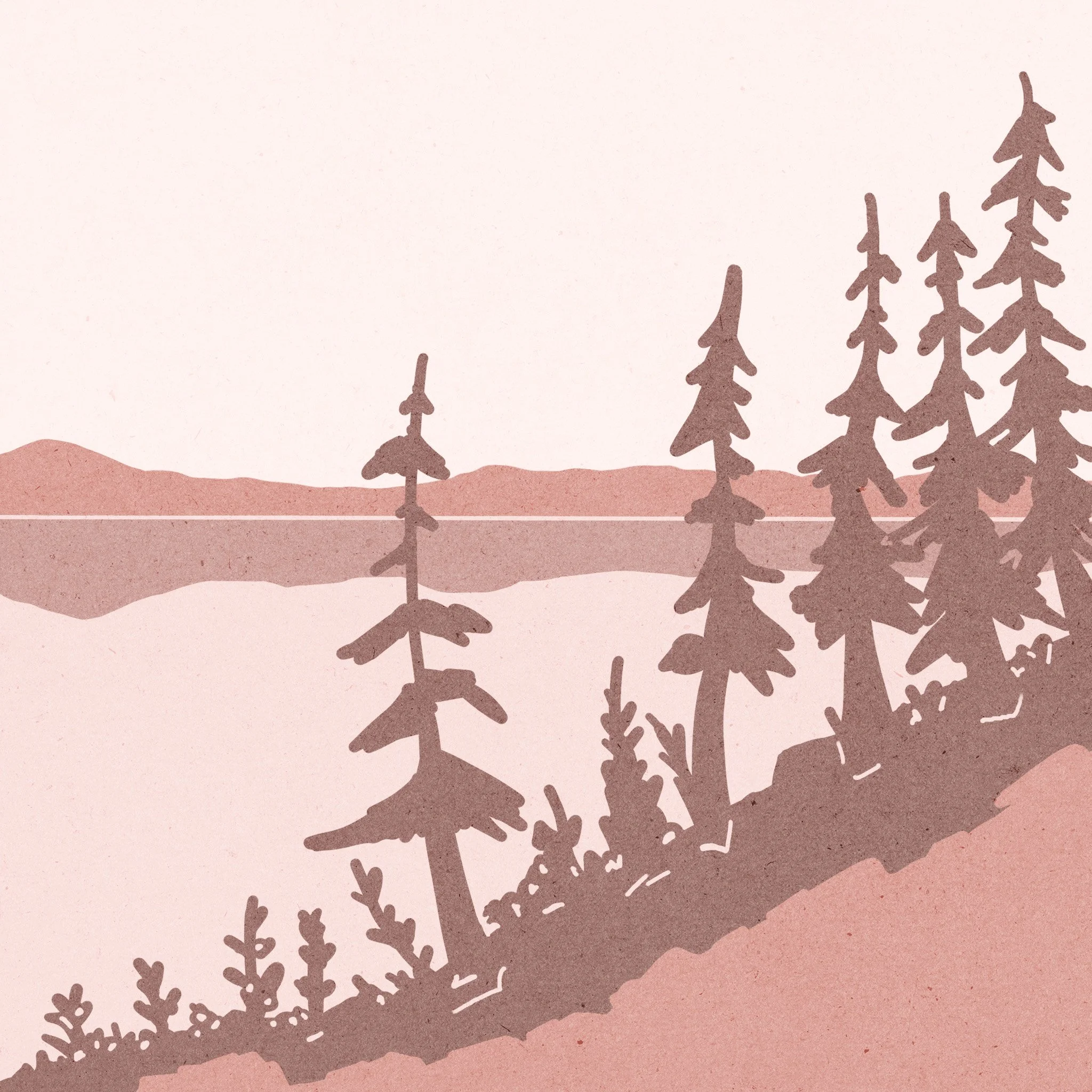 Maine Coast copy.jpg
