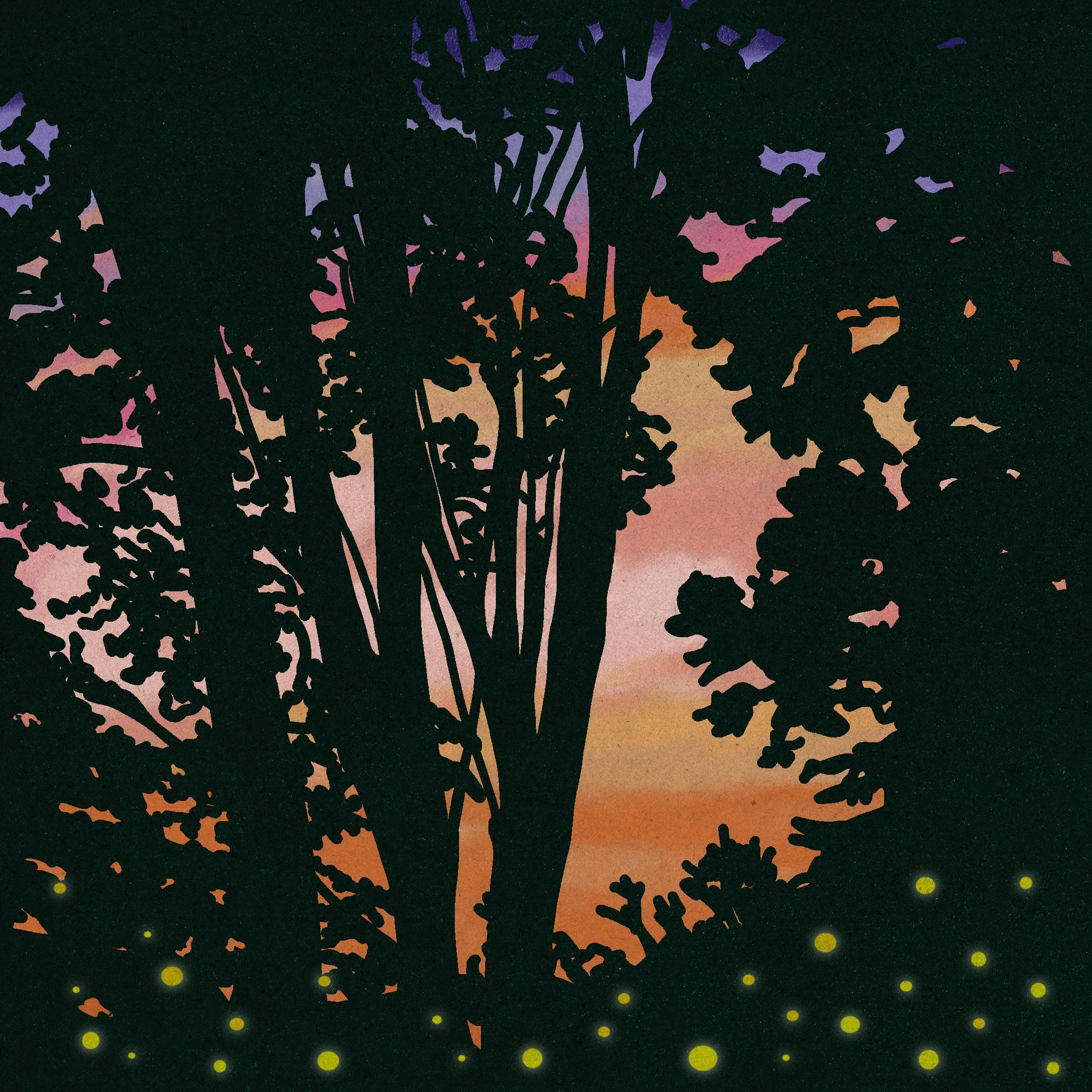 maynard sunset copy.jpg