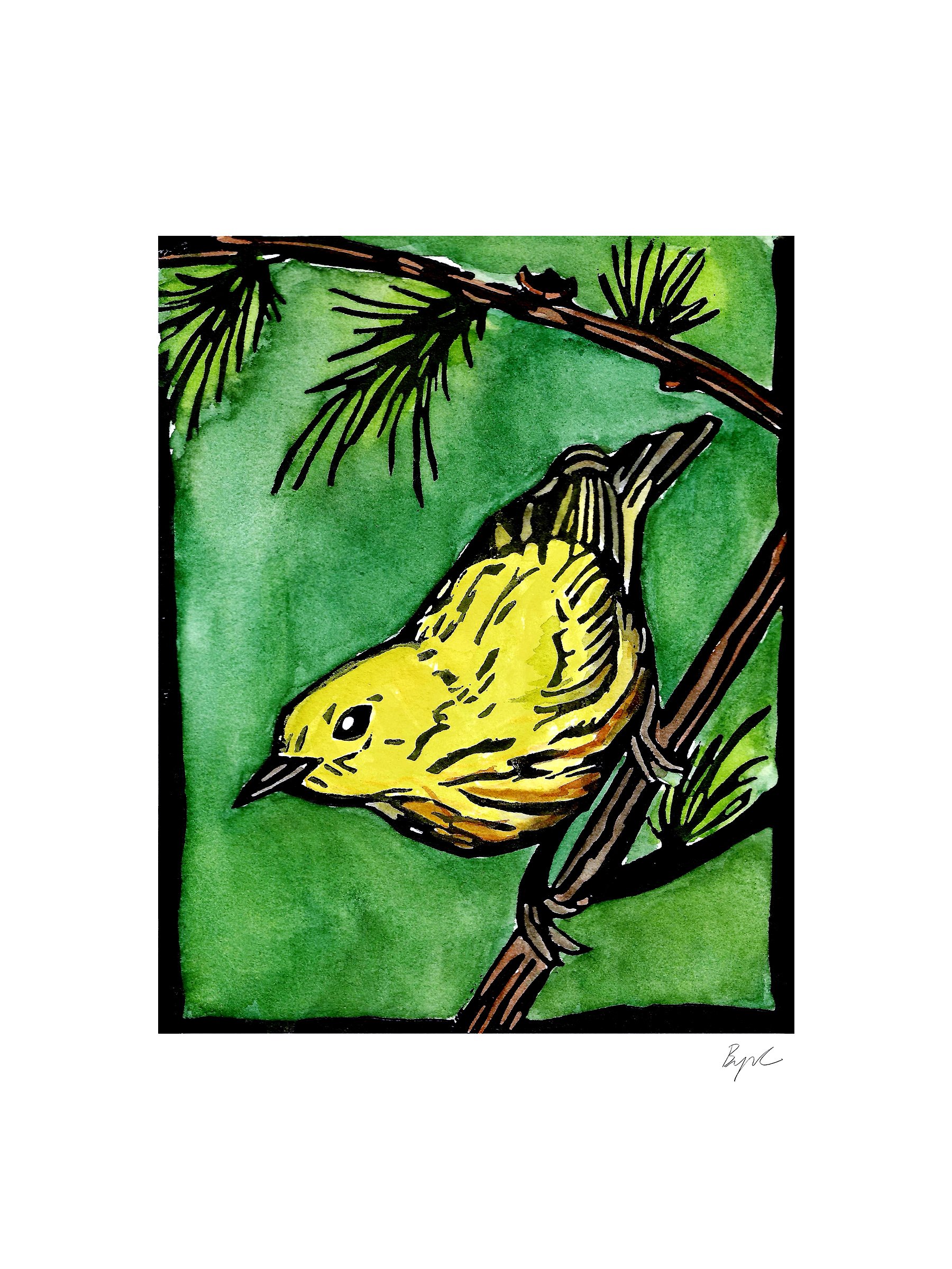 pine warlbler 6x8 copy.jpeg