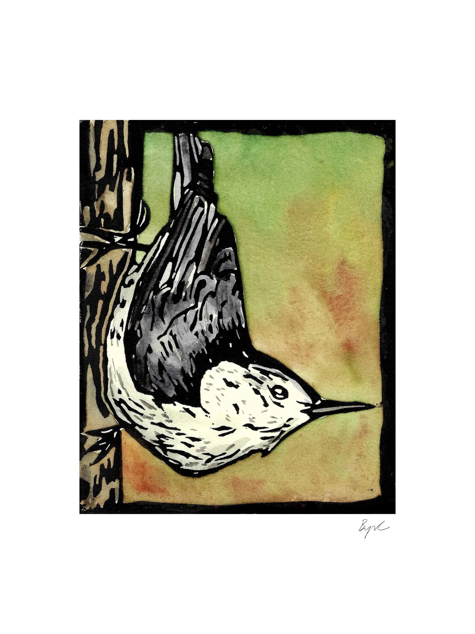 white breasted nuthatch 6x8 copy.jpeg