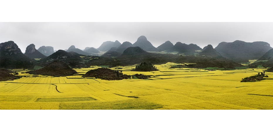 Canola Fields 2, Luoping, Yunnan Province, China, 2011