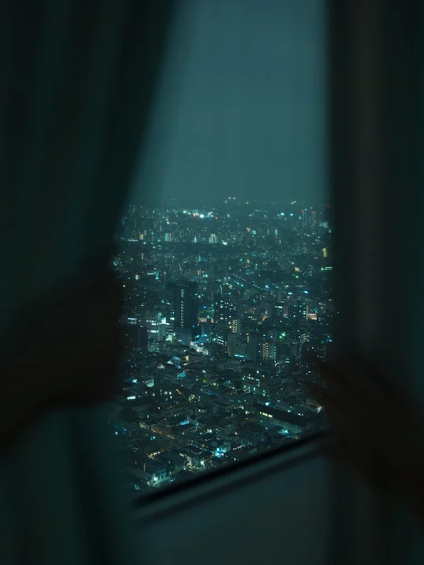 Alec Soth Park Hyatt Tokyo (curtains) 2015.jpg