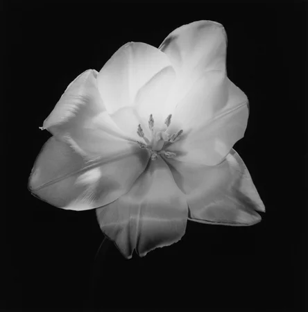 sample_1607.jpg