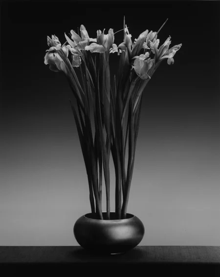 sample_1838-2.jpg