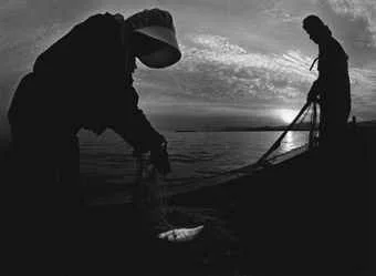 w_eugene_smith_fisherwomen_of_minamata_japan_1971_d5479161h.jpg