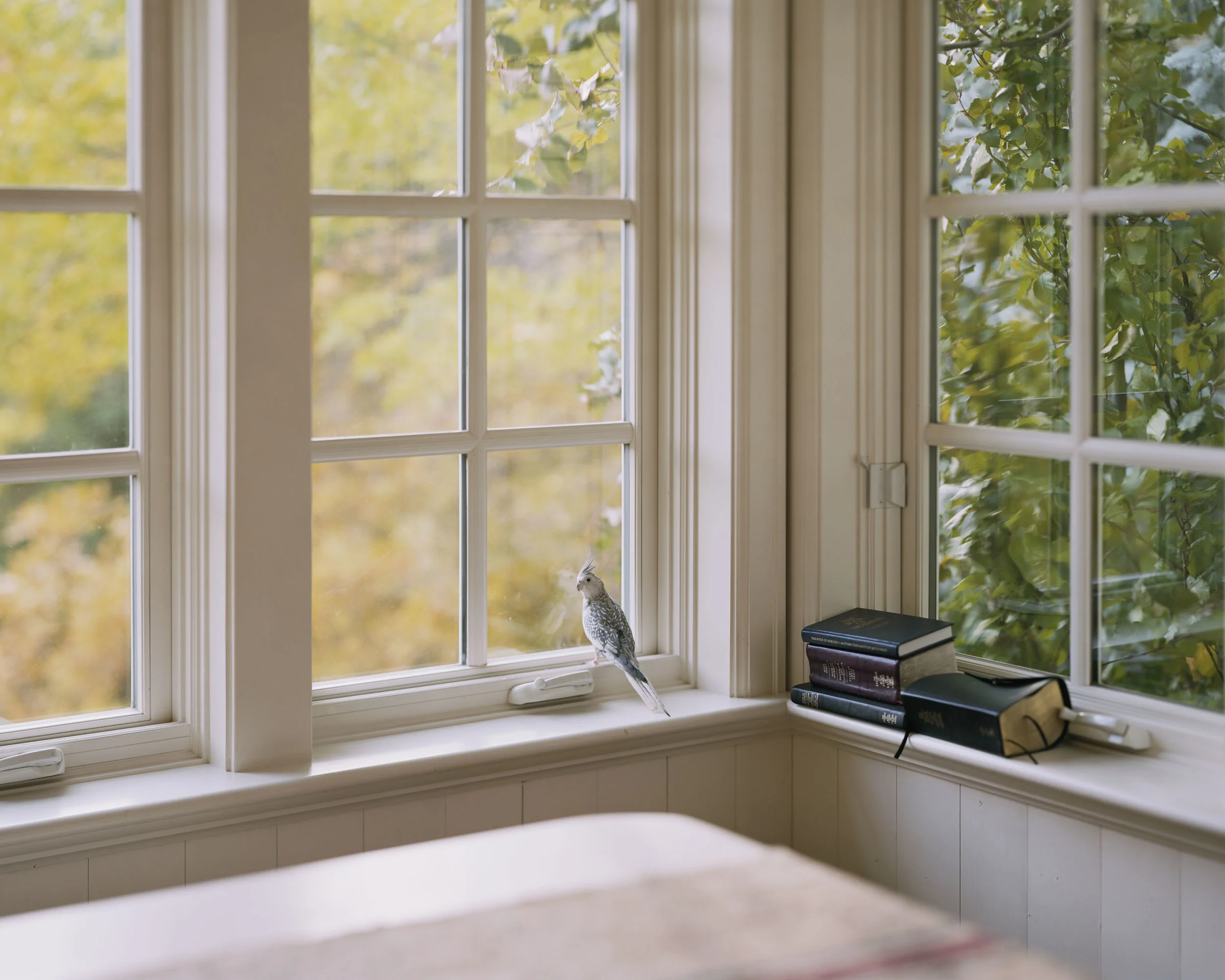 Alec Soth: I Know How Furiously Your Heart Is Beating