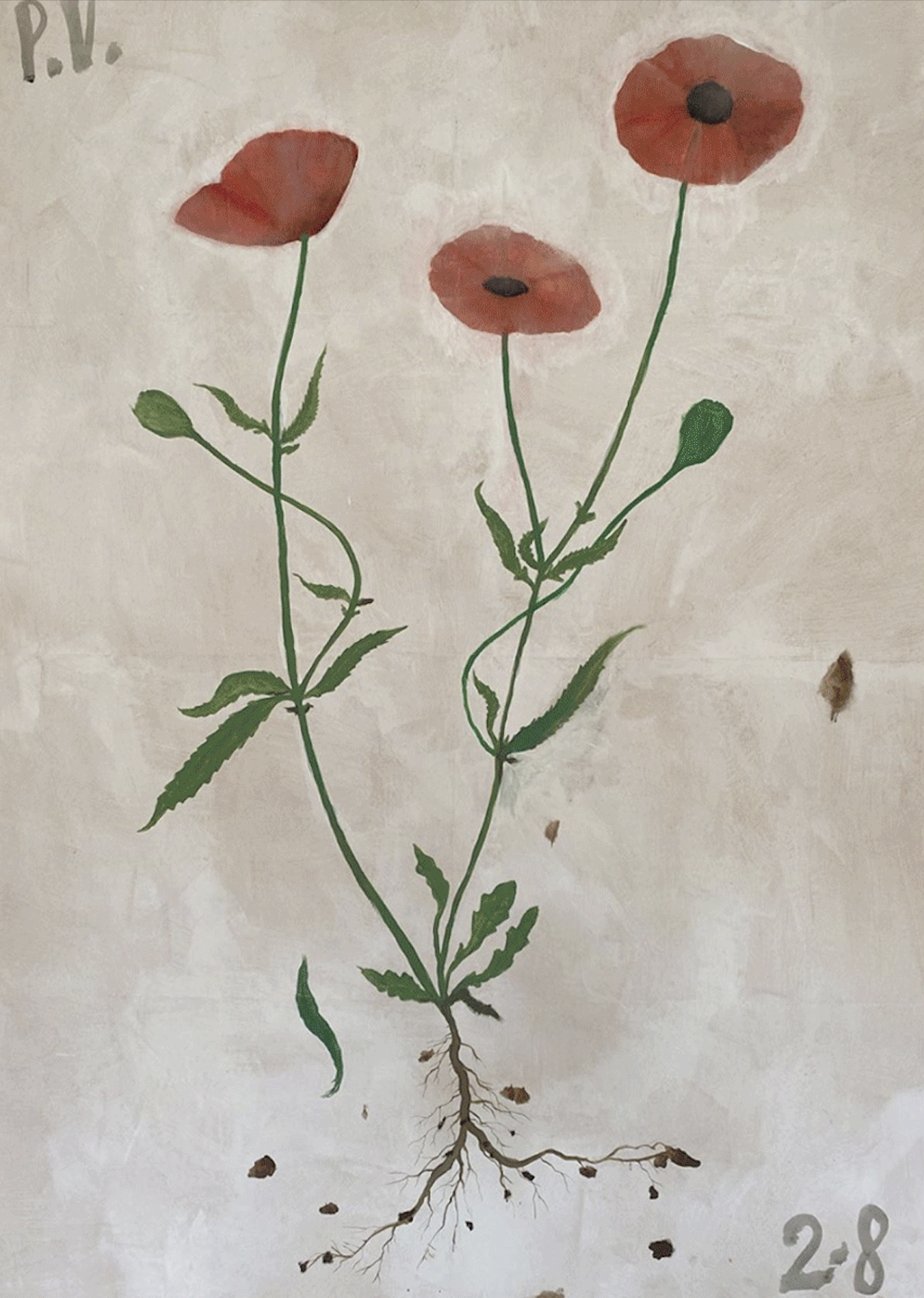 Quarantine Diary (Red Poppies, August 2nd), 2020