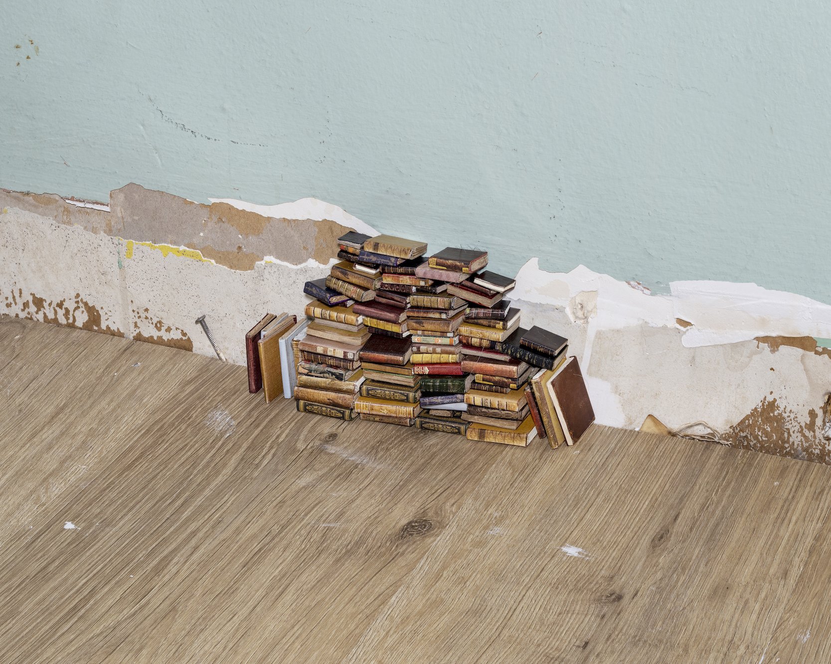 Lauren's Books , 2023 Archival pigment print 40 x 50 inches, image size 45 x 55 inches, paper size Edition of 9 plus 4 artist's proofs