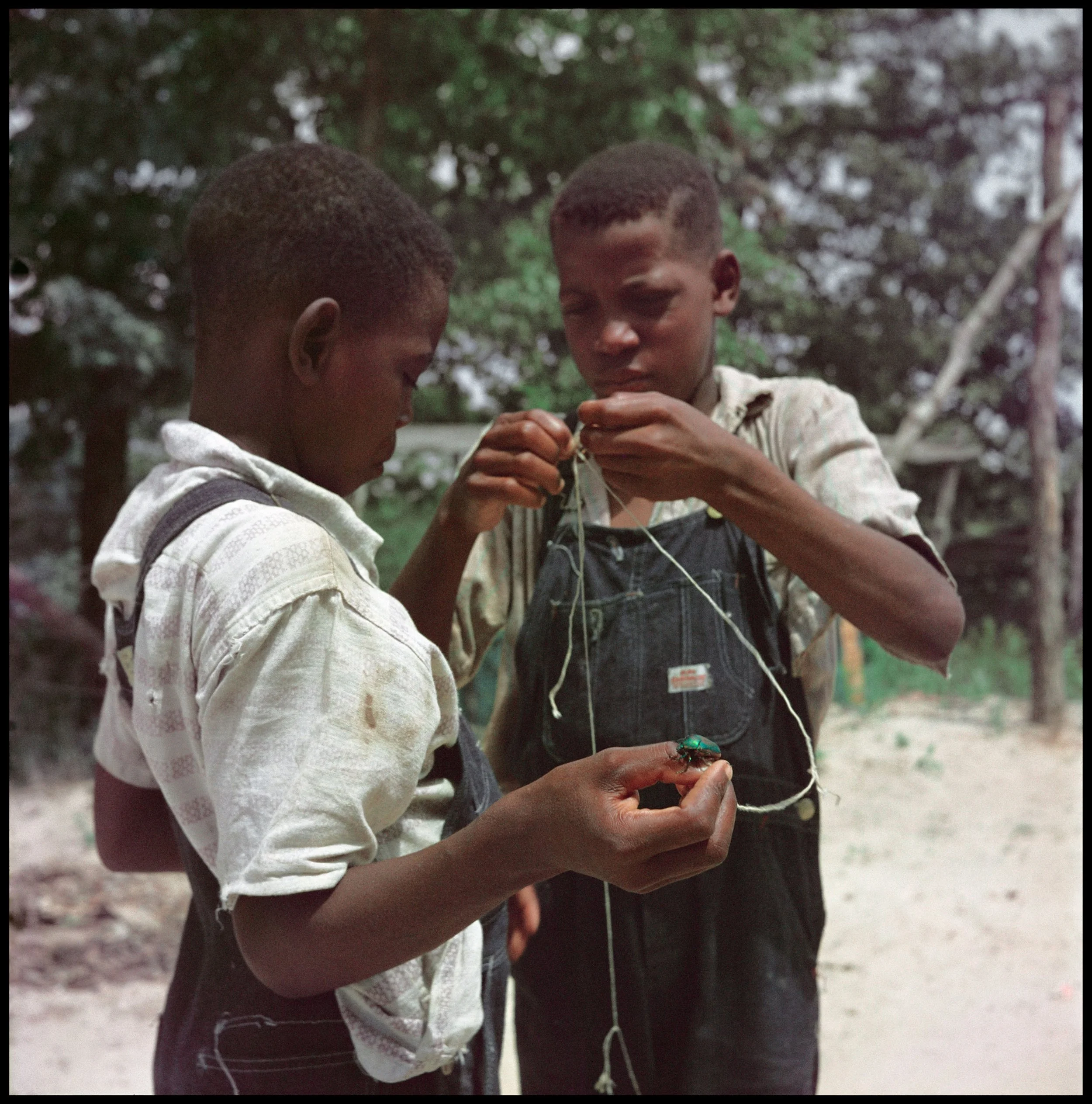 A Special Selection of Gordon Parks Photographs