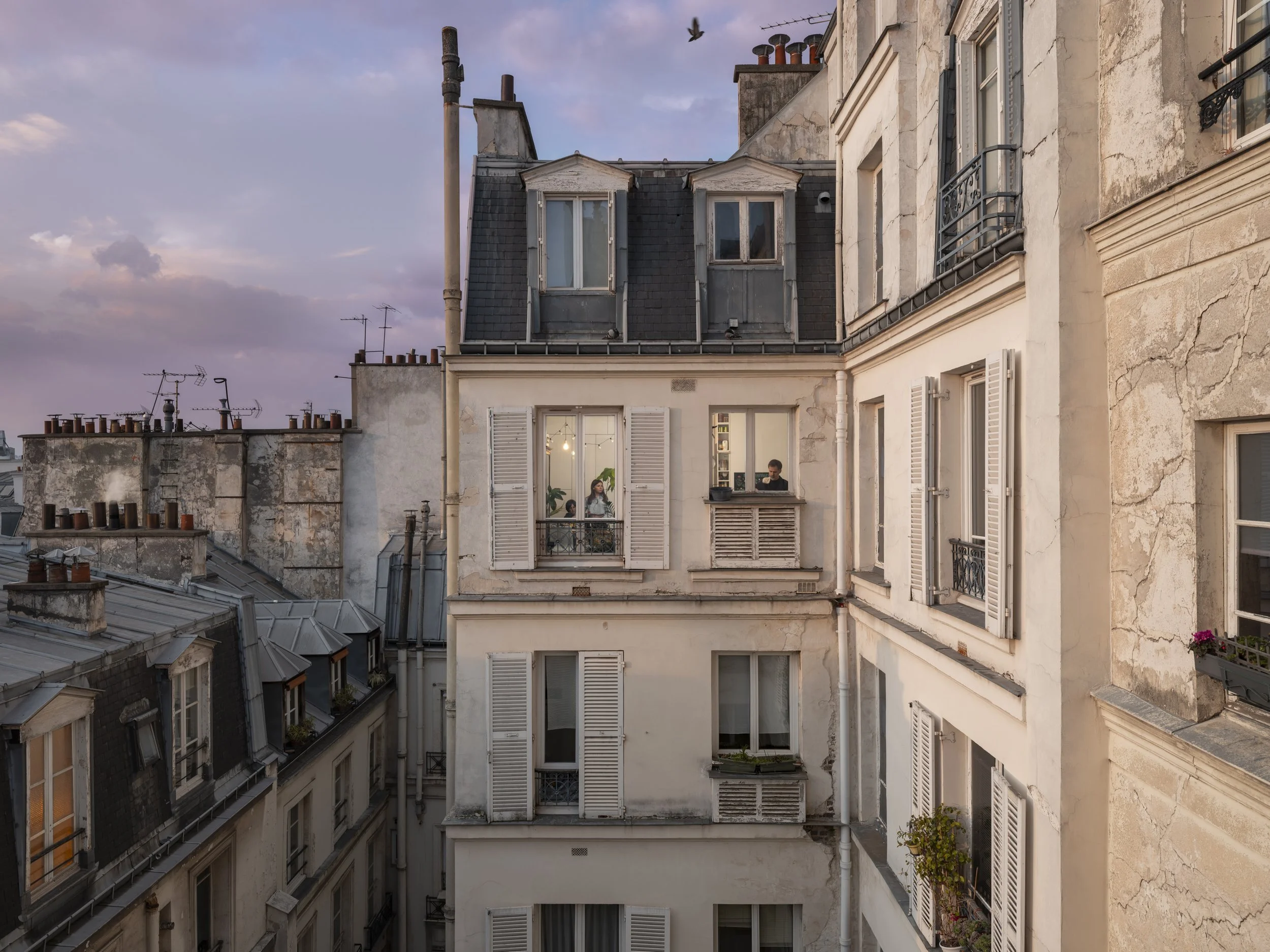 Beneath the Solemn Beauty, Paris, 2024