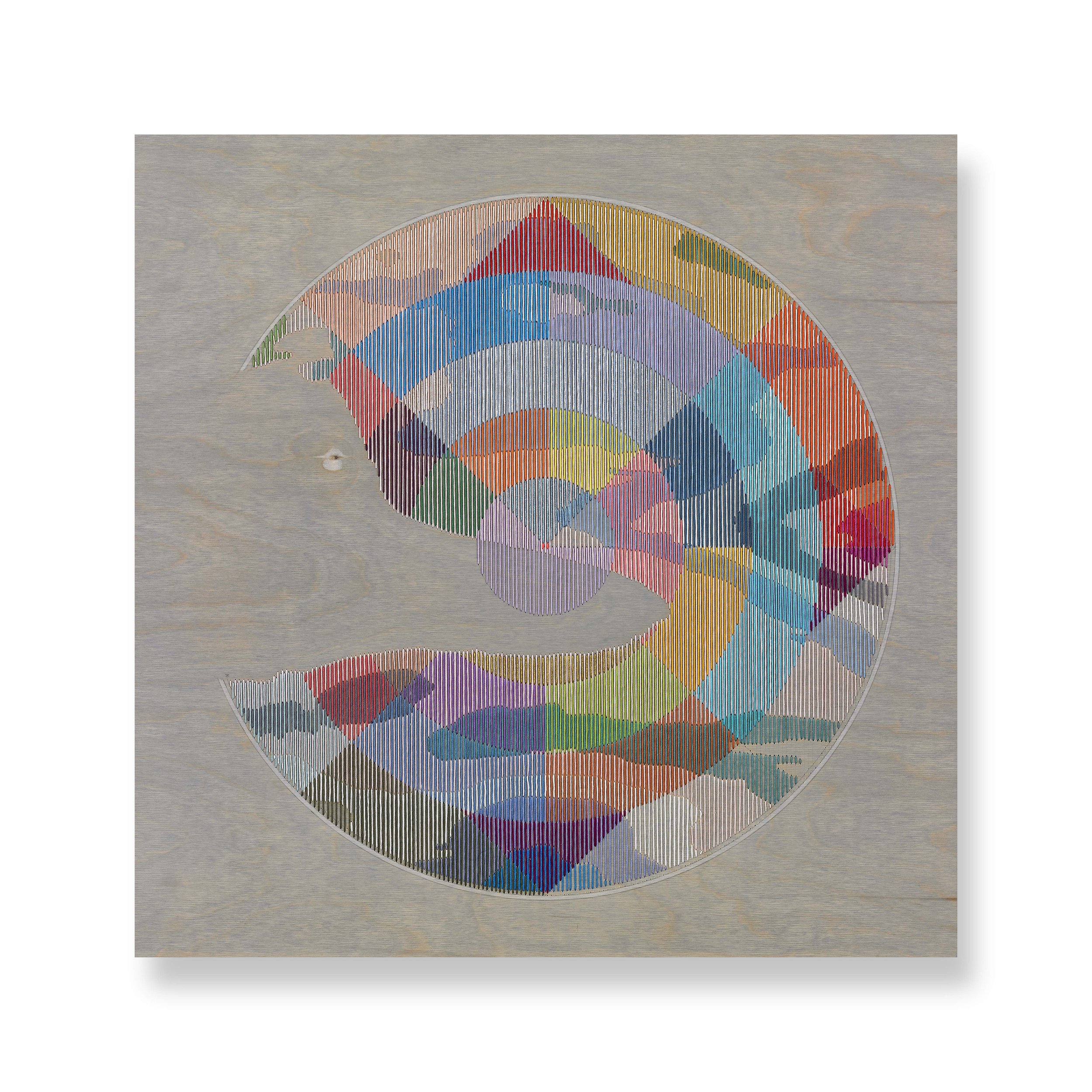   Ingrain No8 , 2026 Pencil, colored-pencil, rubio stain, thread on wood 24 x 24 inches 