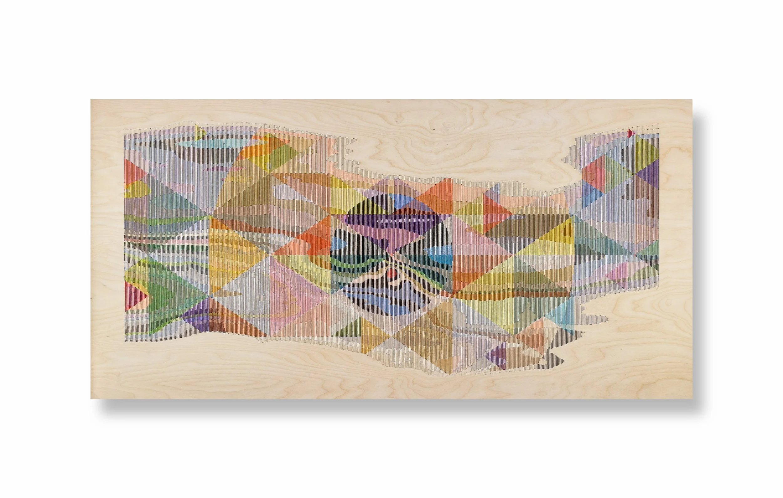  Ingrain No9 , 2026 Pencil, rubio stain, thread on wood 30 x 60 inches 
