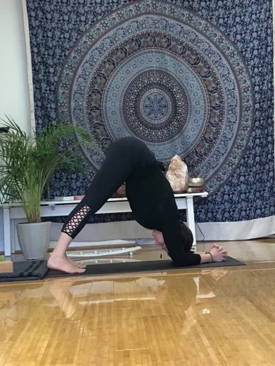Dolphin Pose From tabletop take your forearms to the floor, elbows in line with your shoulders. Lift your knees off the floor. Begin to move your shoulders directly above the elbows and send your chest towards your thighs. Externally rotate your arms by lifting your inner arms up and around towards your outer arms. Hold for up to 1 min, release knees and rest in child’s pose. Repeat 3 times.