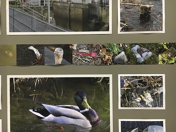 Detail: The Fulda River in Kassel. Strips of photographs of plastic litter on the streets of Kassel, Athens and Sydney flow through the imagery around the three walls of the installation.