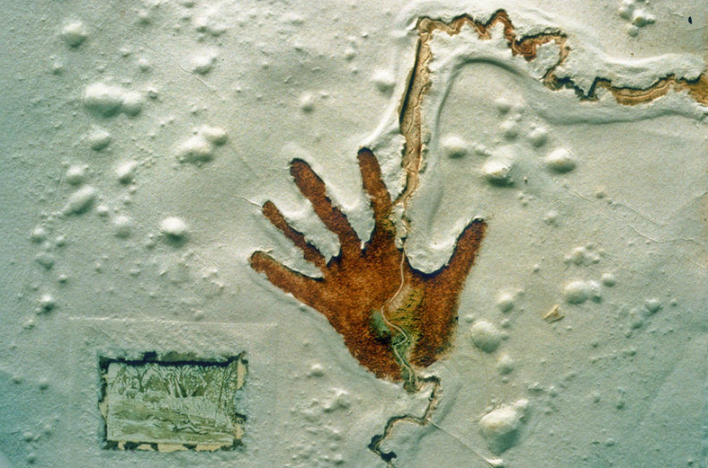 Murray Rivers Edge, 1977 (detail)