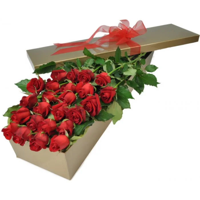 Box Roses