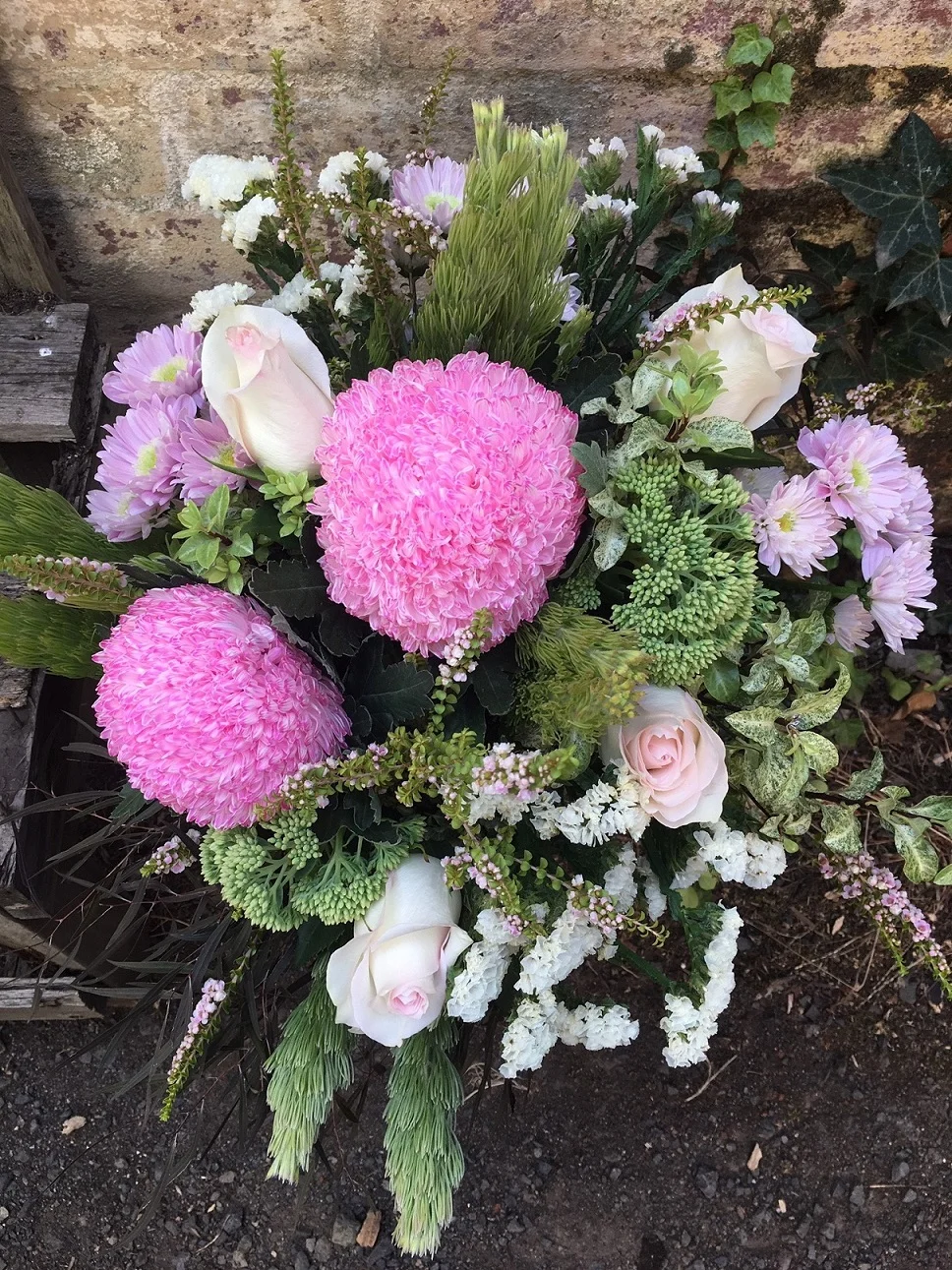 harmony top view IMG_3035.JPG