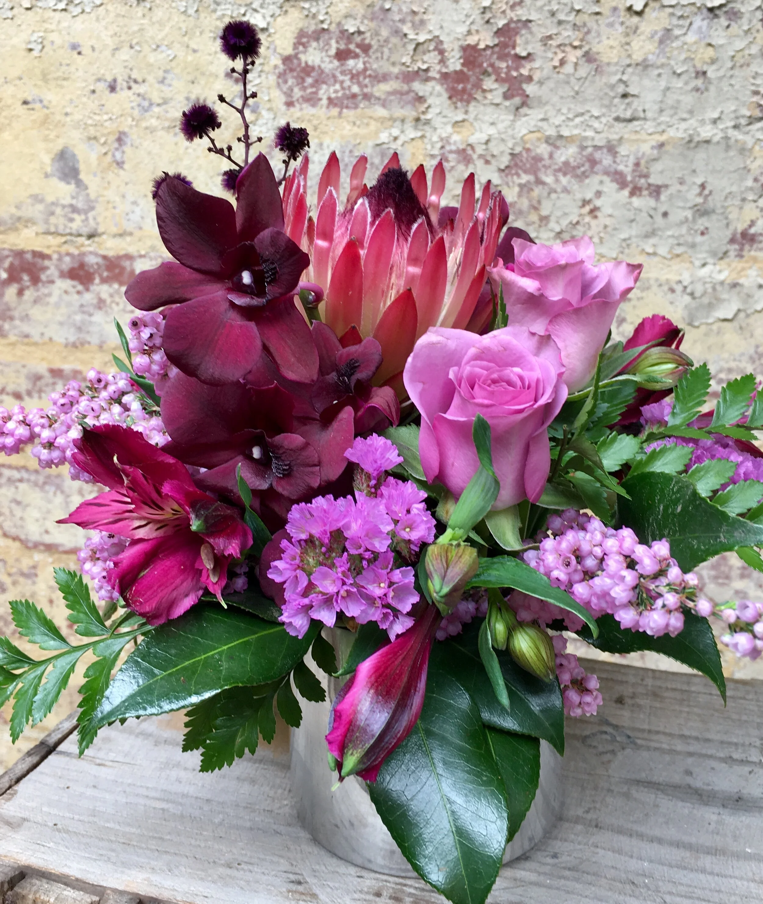 Delilah 3 IMG_4187.jpg