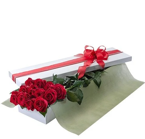 pres box 12 RR green lining.jpg