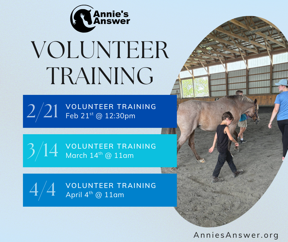 February Volunteer Training