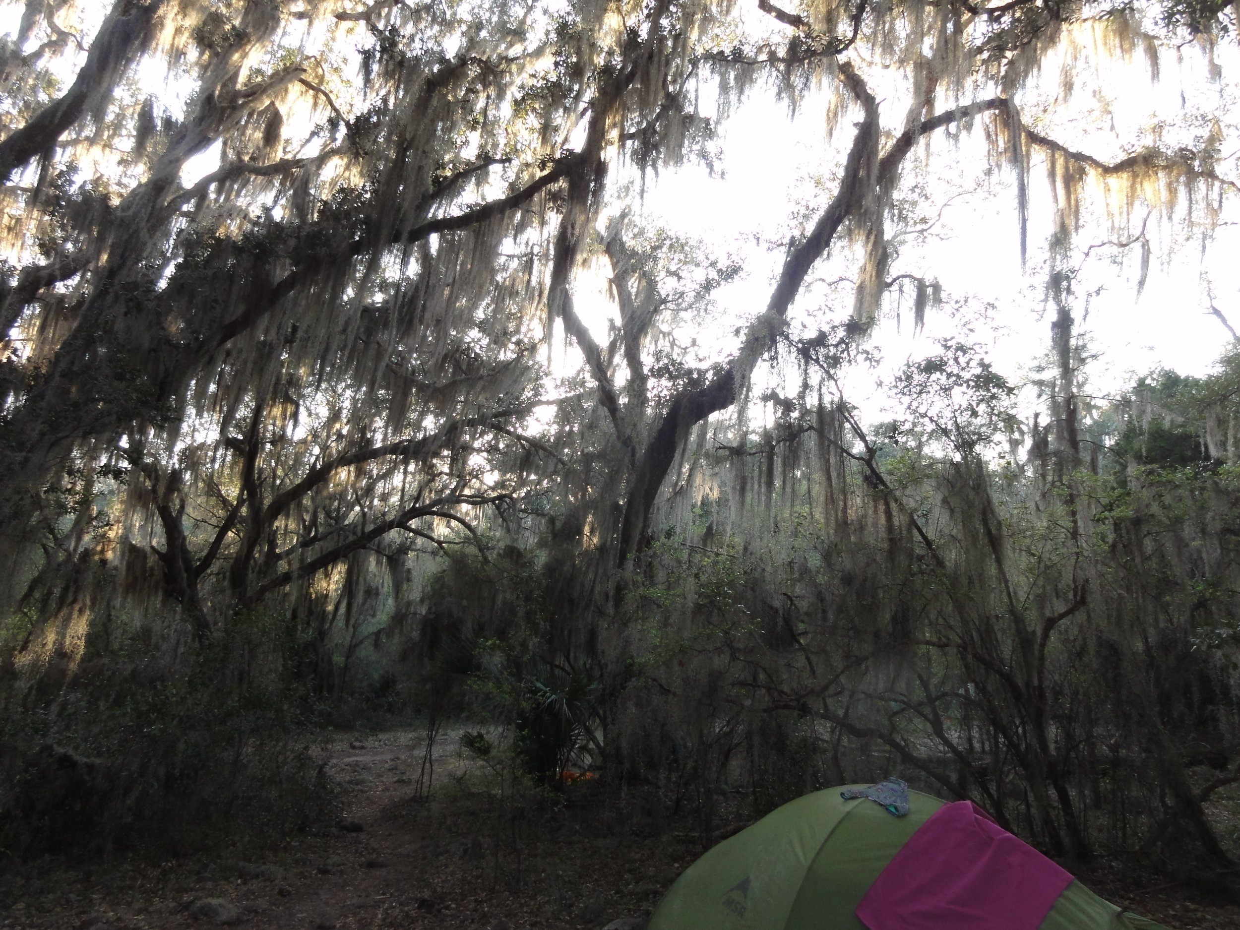 Finding a Place to Play - Part II