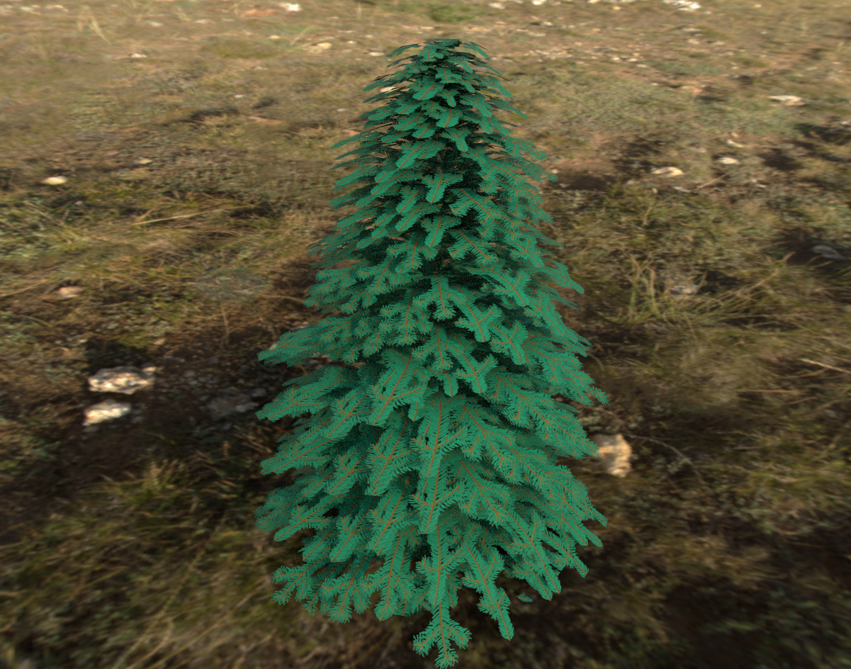bluespruce.PNG
