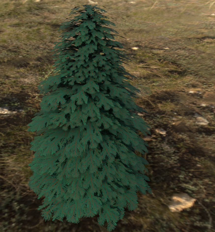 bluespruce2.PNG