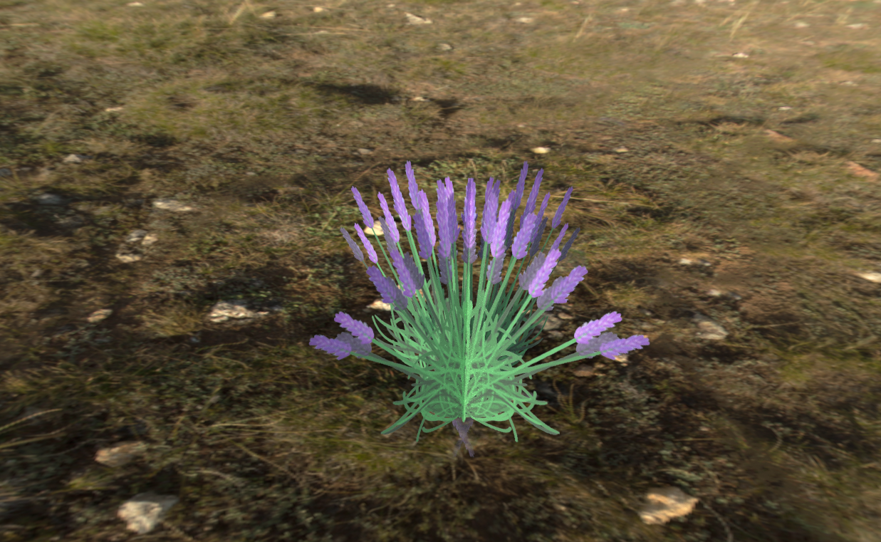 lavendertexture.PNG