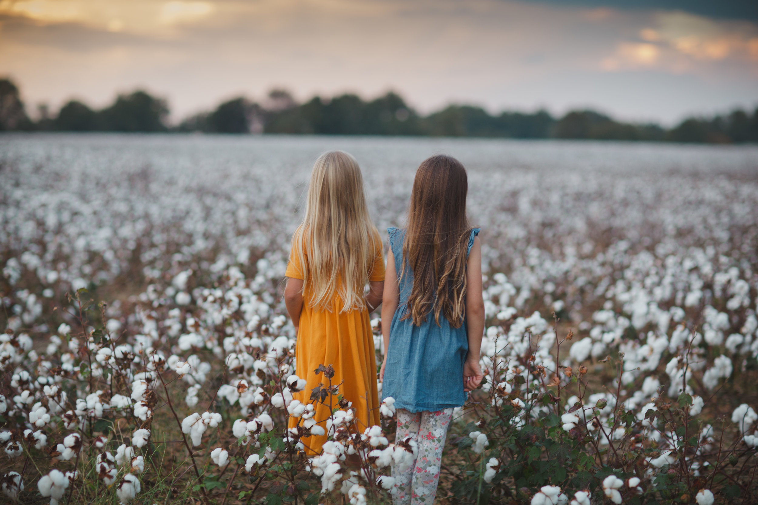 betsycurlinphotography_jacksontnfamilyphotographer_cotton-104.jpg