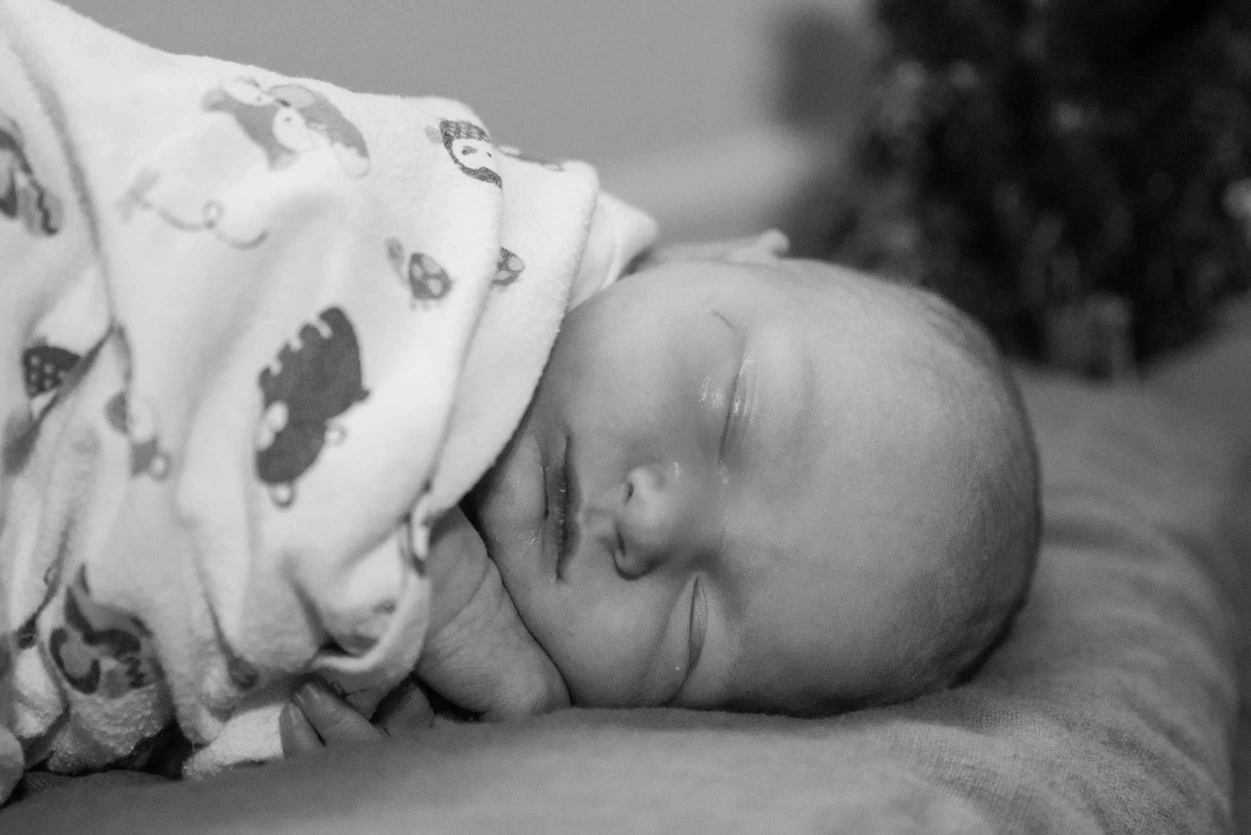 1-6670_bw.jpg
